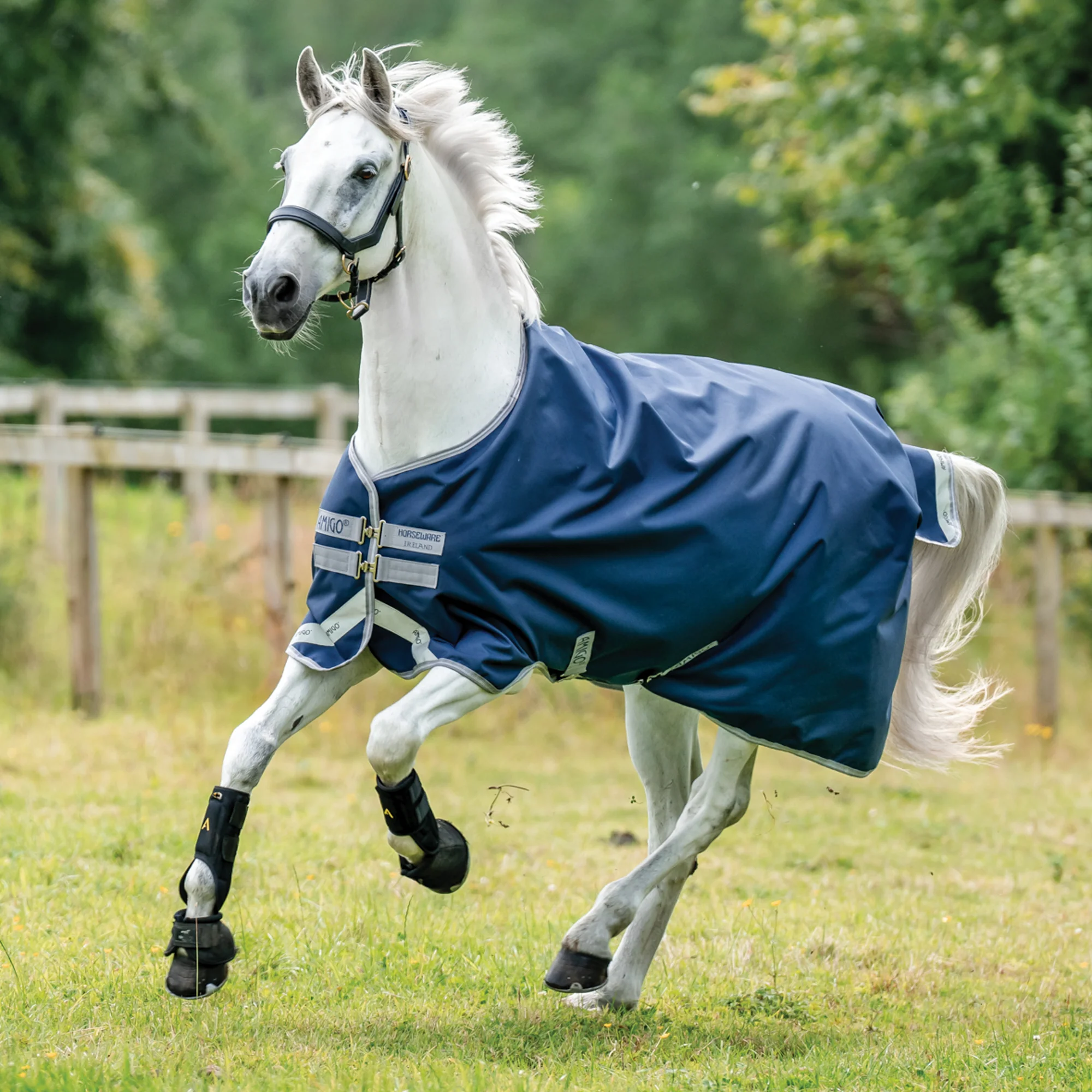 Amigo® Bravo 12 Semi-Lite Weight Turnout Blanket - Image 4