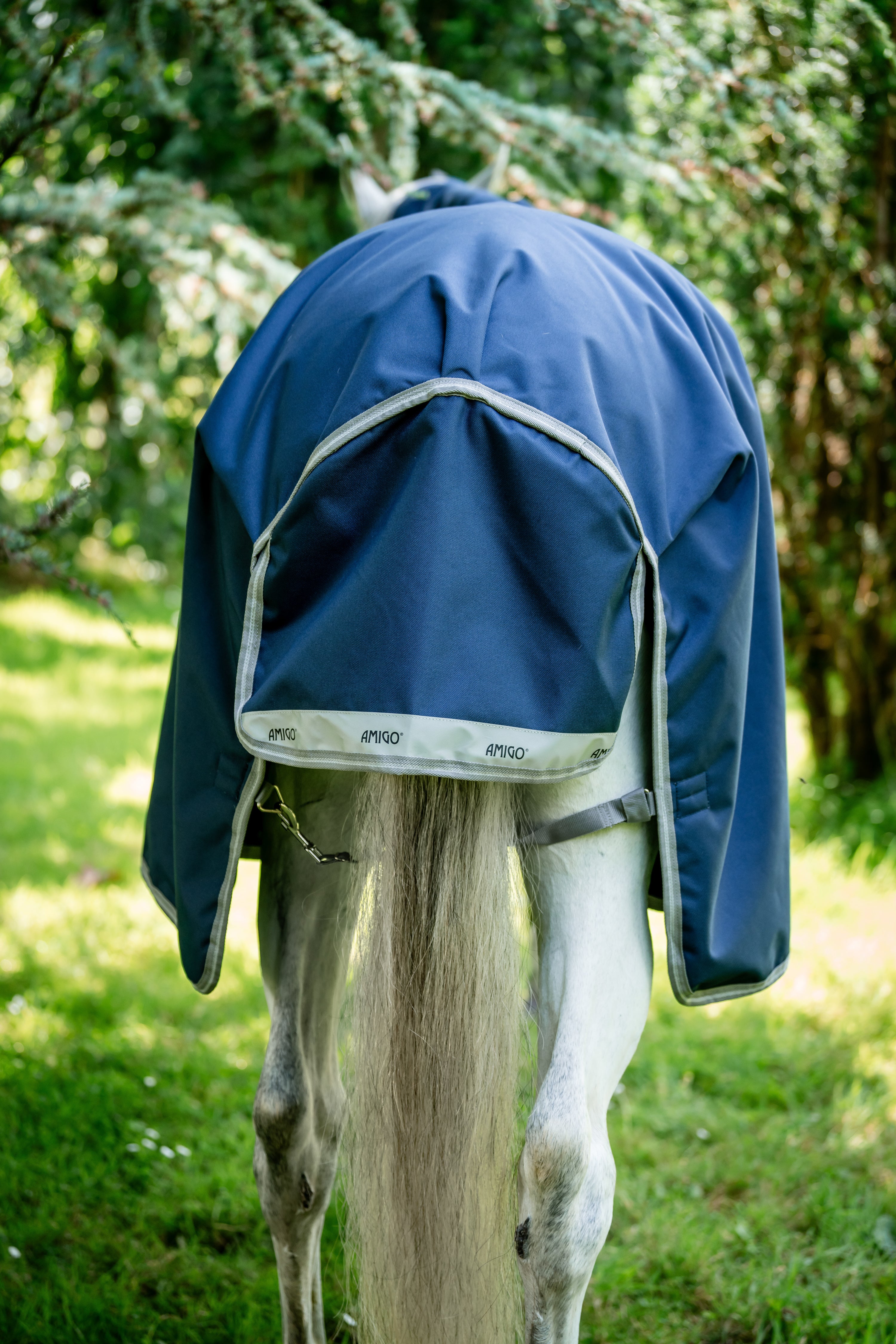 Amigo® Bravo 12 Semi-Lite Weight Turnout Blanket - Image 5