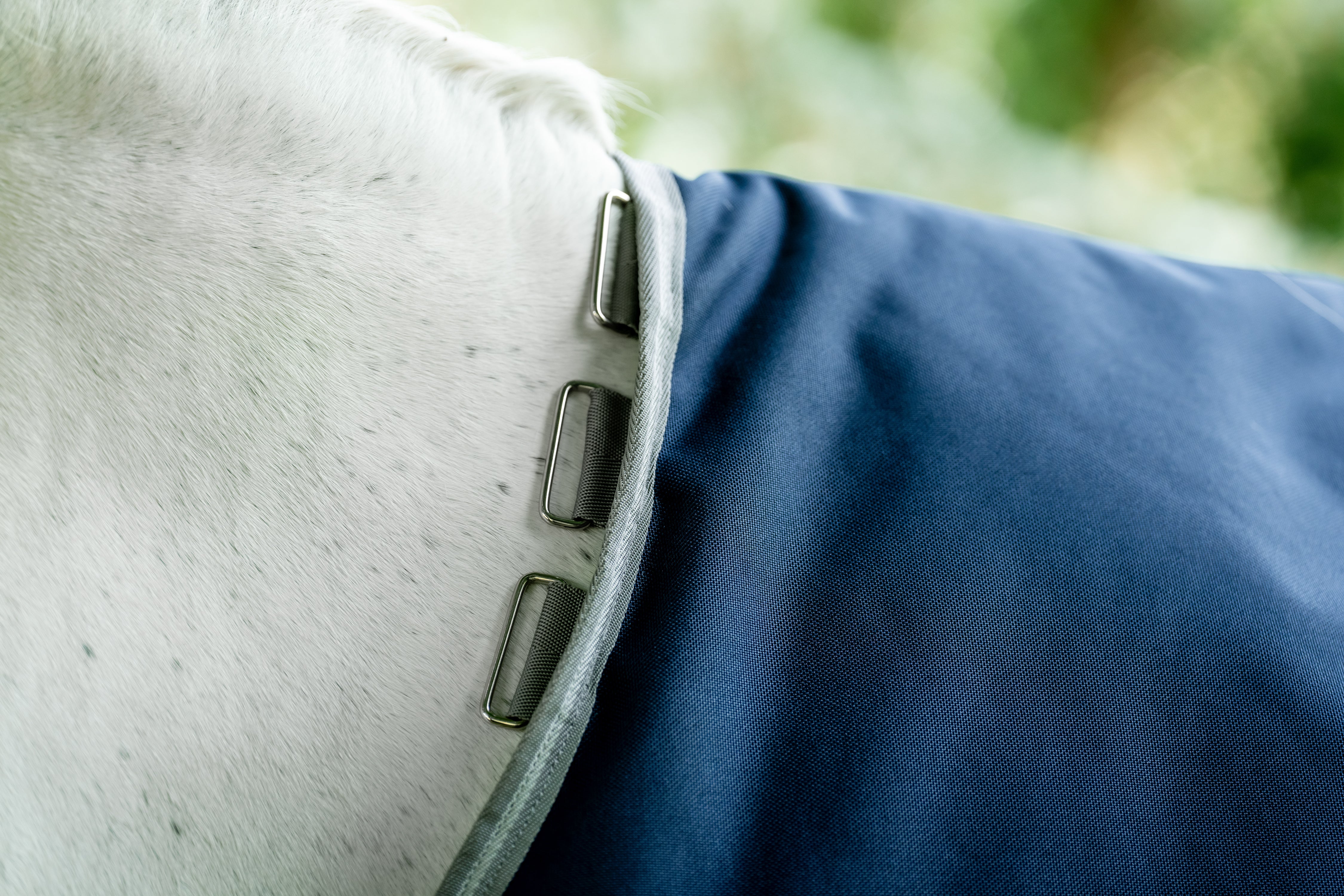Amigo® Bravo 12 Semi-Lite Weight Turnout Blanket - Image 6