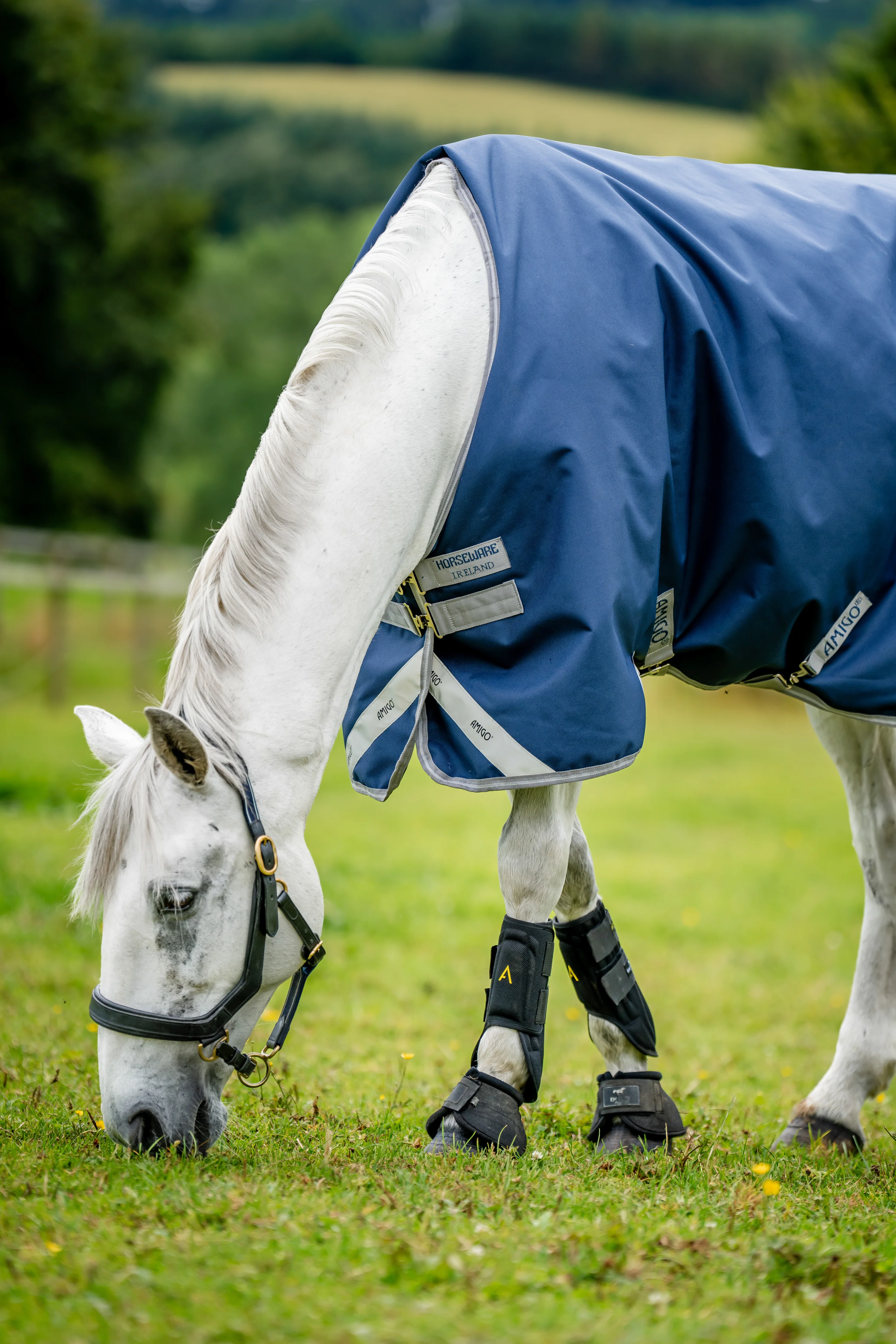 Amigo® Bravo 12 Semi-Lite Weight Turnout Blanket - Image 7