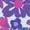 Belle & Bow Equestrian Children’s Belt - Image 4