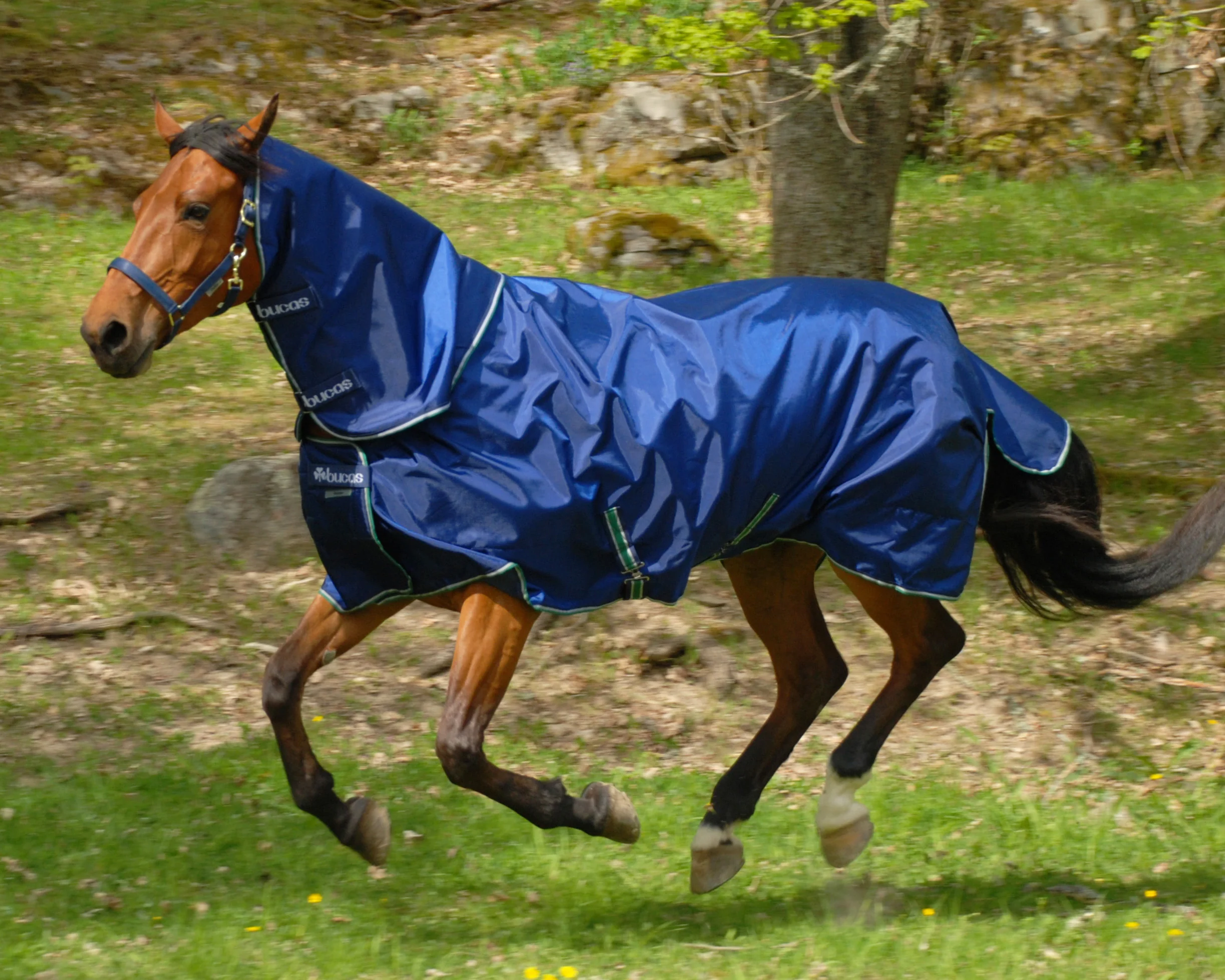 Bucas Smartex Rain/Turnout Sheet - Image 4