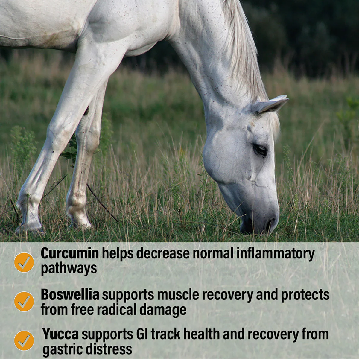 Bute-Less® Performance Comfort & Recovery Pellets - Image 4