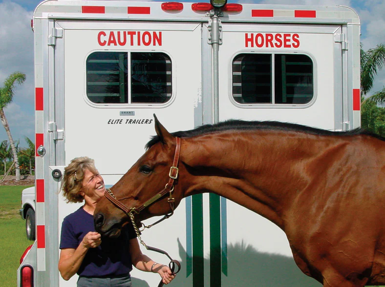 Caution Horses Sign - Image 3