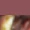 DS Print Breakaway Halter - Image 3