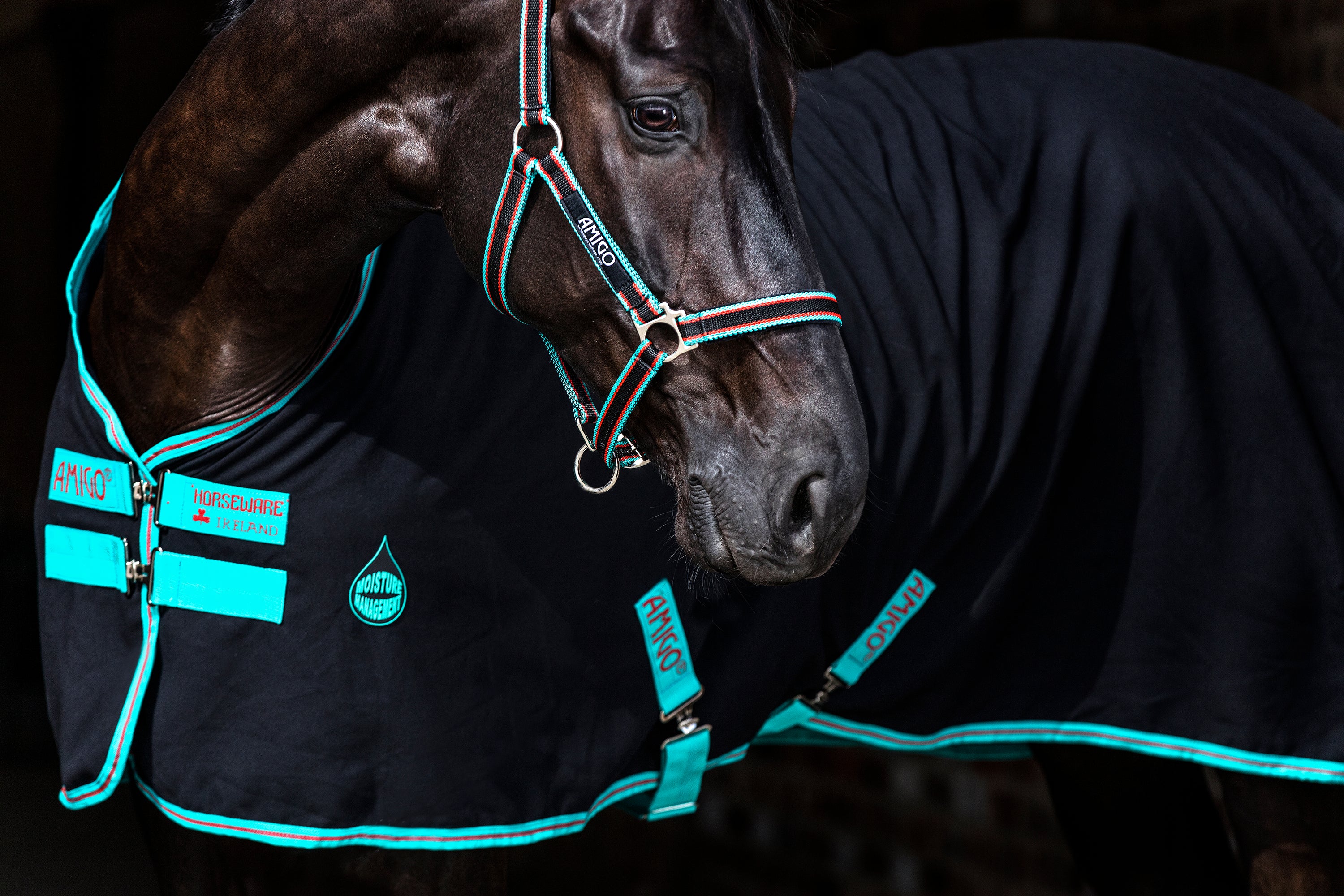Horseware® Ireland Amigo® Stable Sheet - Image 10