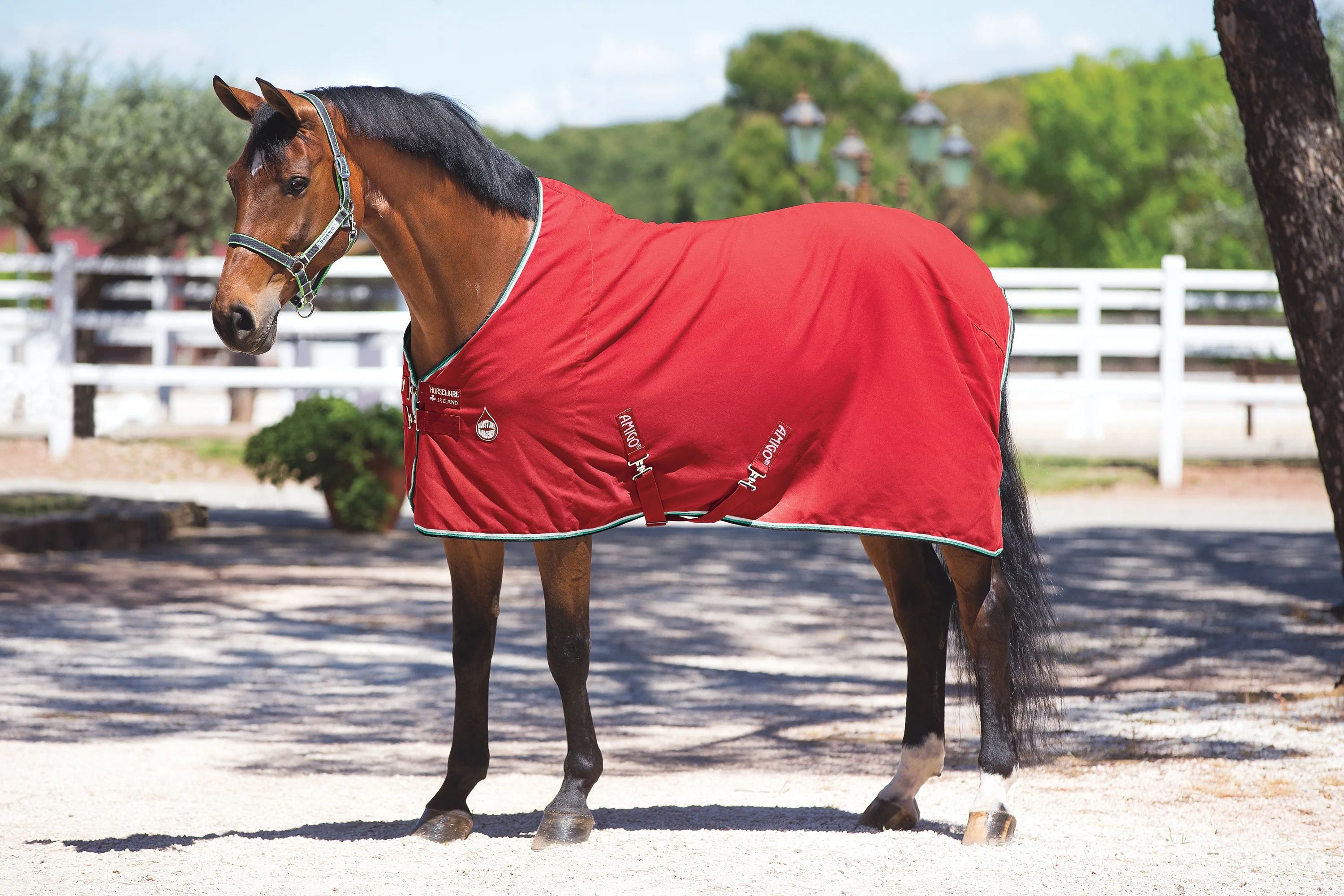 Horseware® Ireland Amigo® Stable Sheet - Image 12