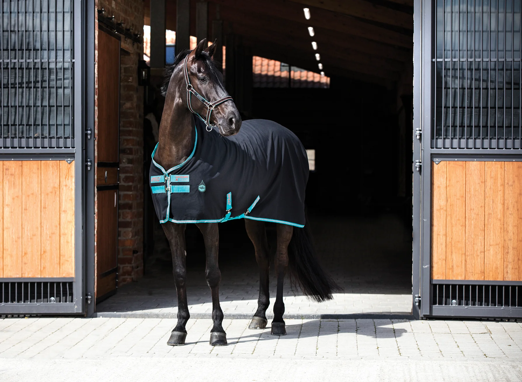 Horseware® Ireland Amigo® Stable Sheet - Image 15