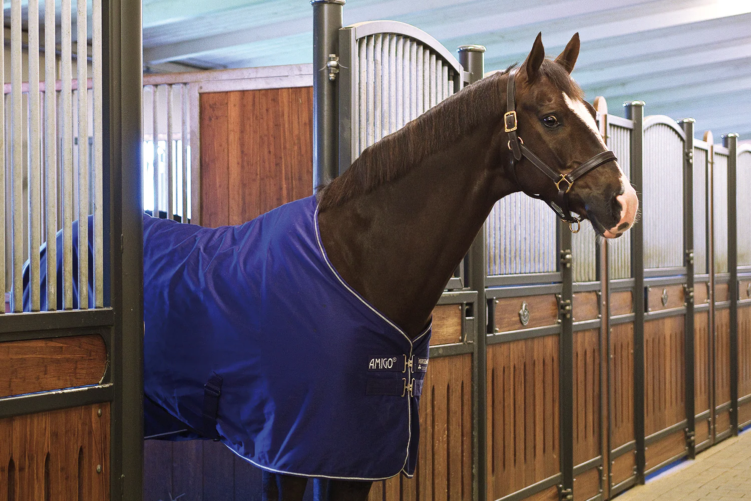 Horseware® Ireland Amigo® Stable Sheet - Image 3