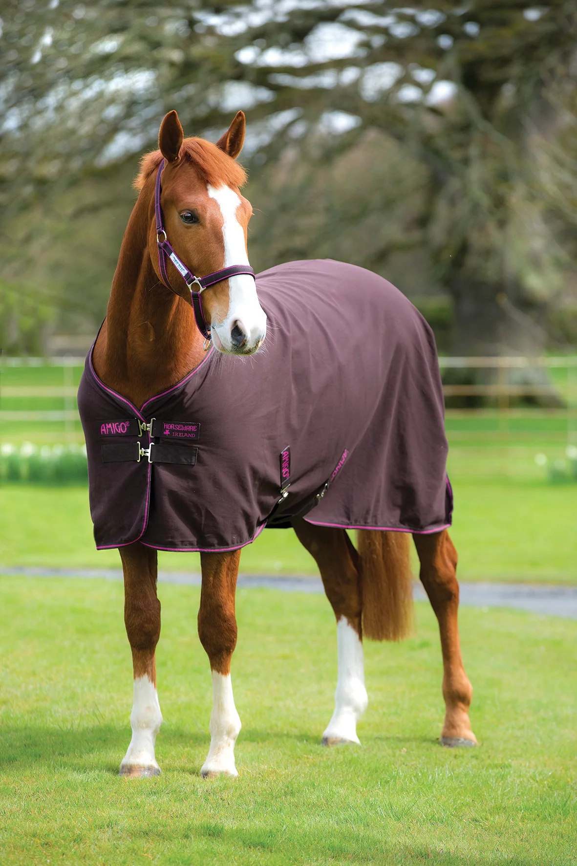 Horseware® Ireland Amigo® Stable Sheet - Image 4