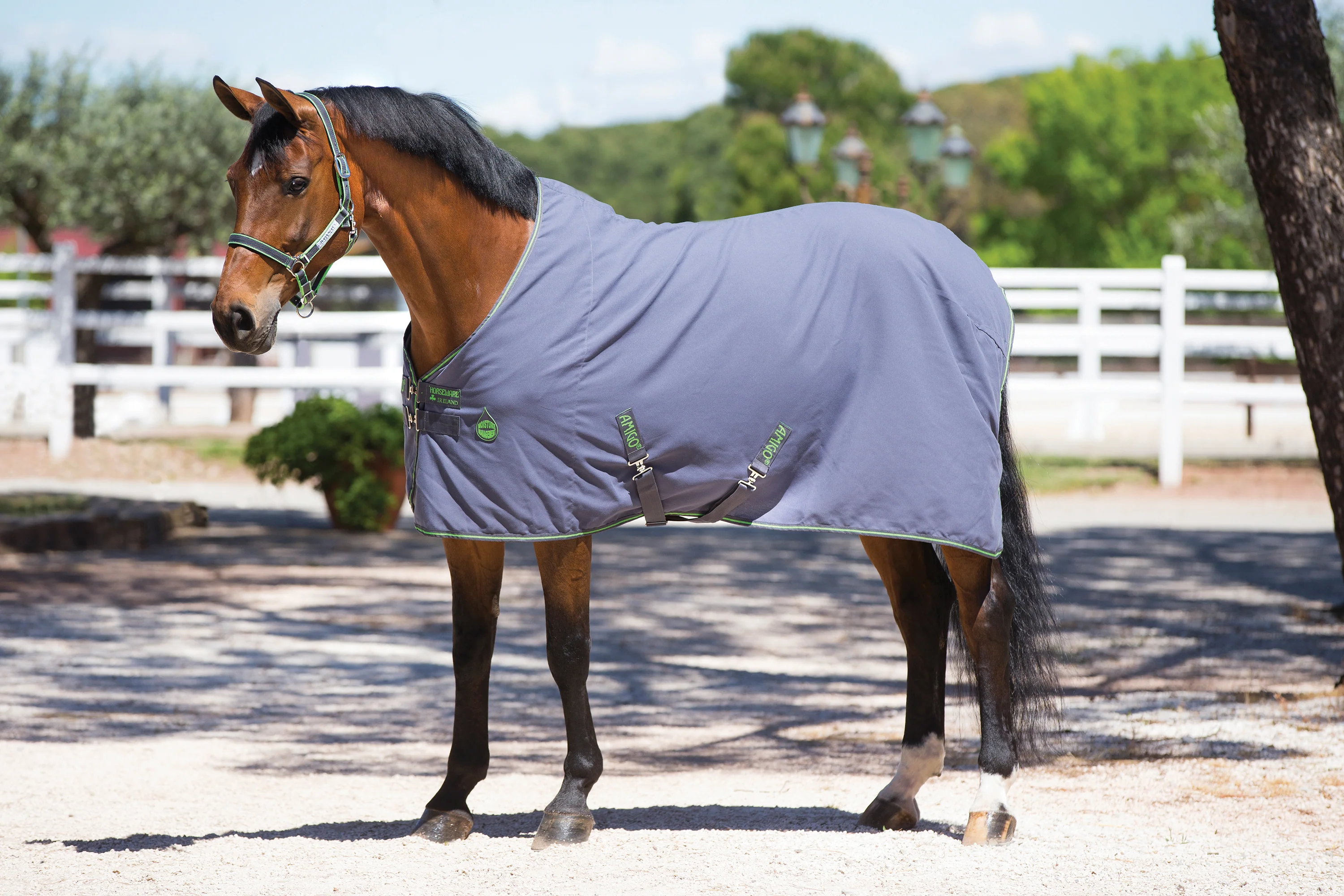 Horseware® Ireland Amigo® Stable Sheet - Image 5