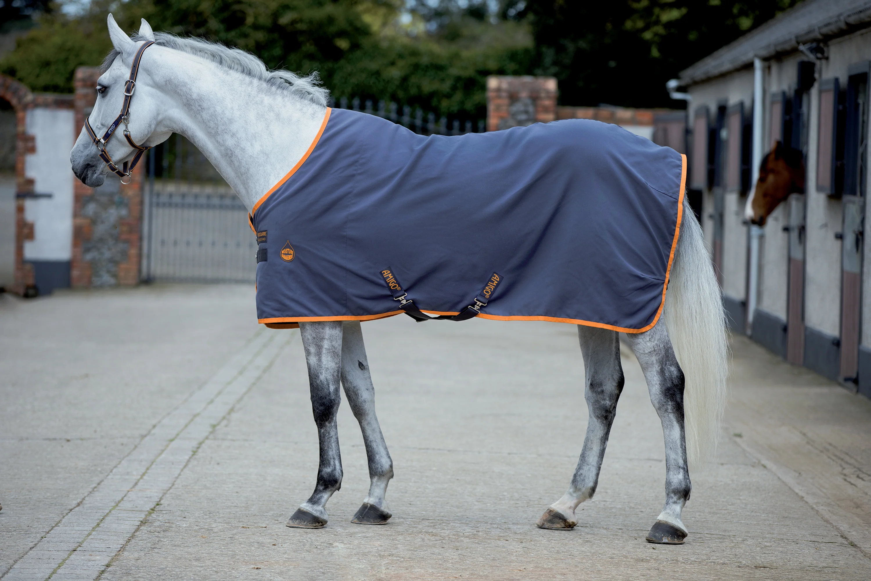 Horseware® Ireland Amigo® Stable Sheet - Image 7