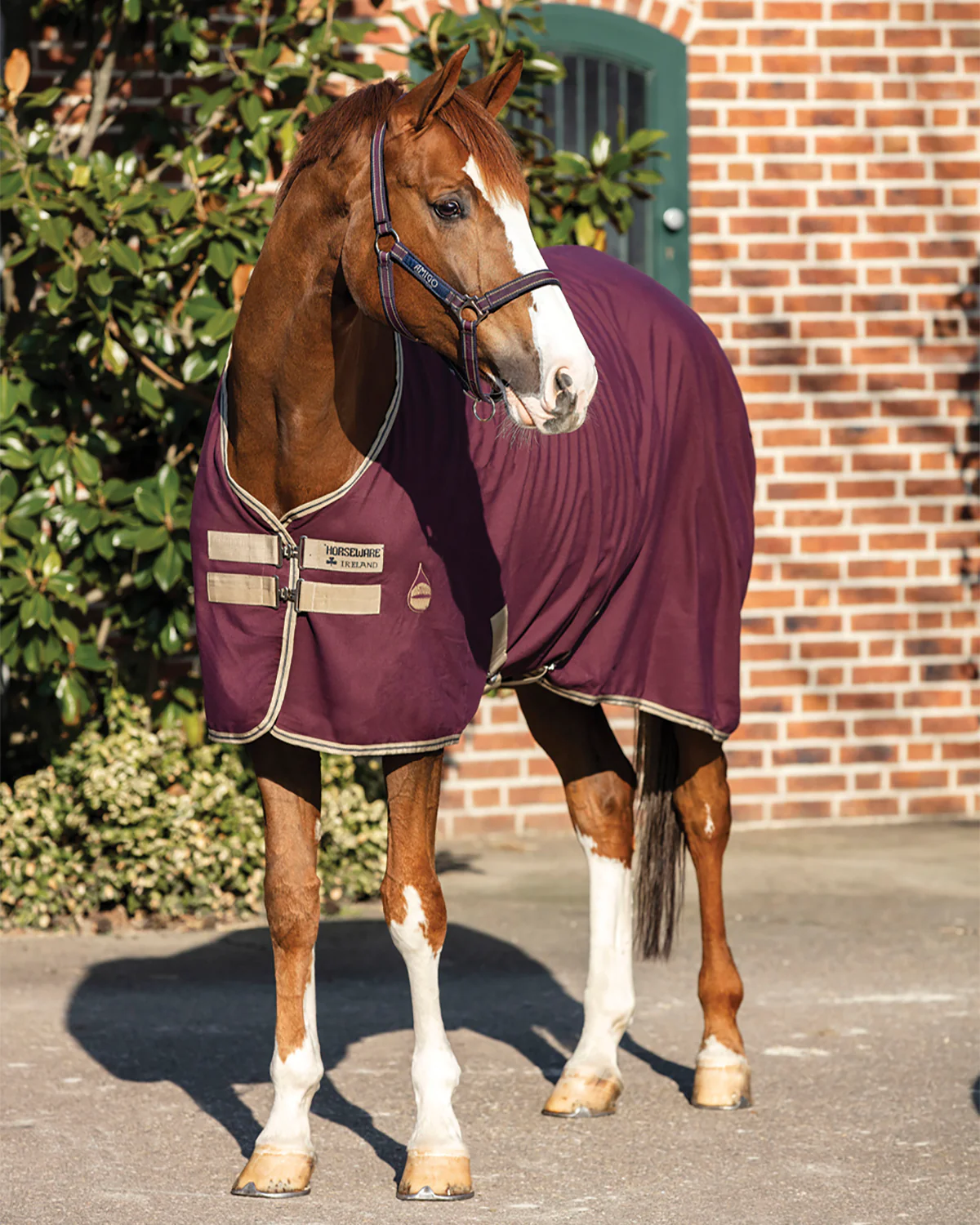 Horseware® Ireland Amigo® Stable Sheet - Image 9