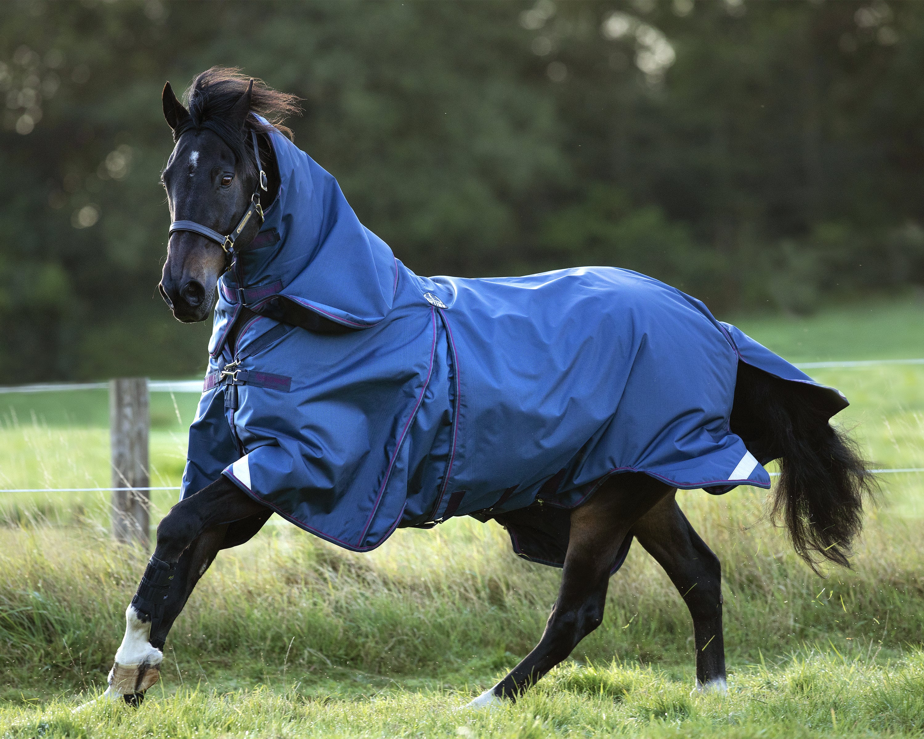 Horseware® Ireland Rambo® Optimo Turnout Blanket - Image 11