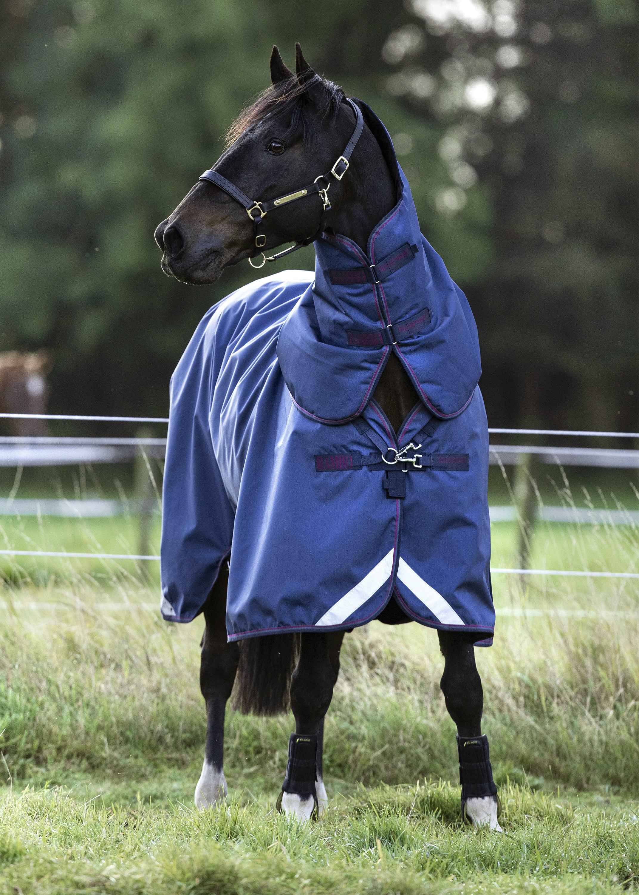 Horseware® Ireland Rambo® Optimo Turnout Blanket - Image 12