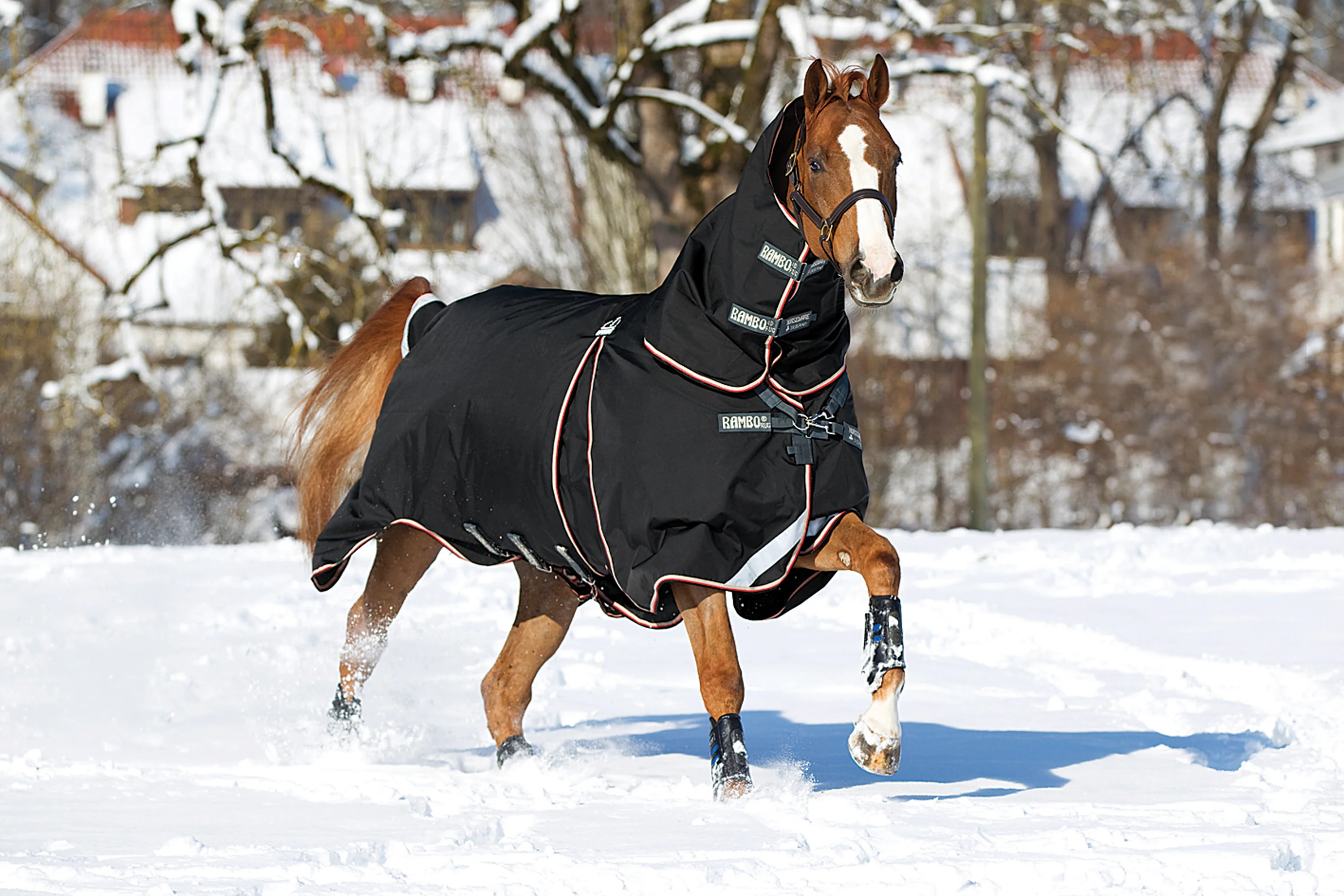 Horseware® Ireland Rambo® Optimo Turnout Blanket - Image 3