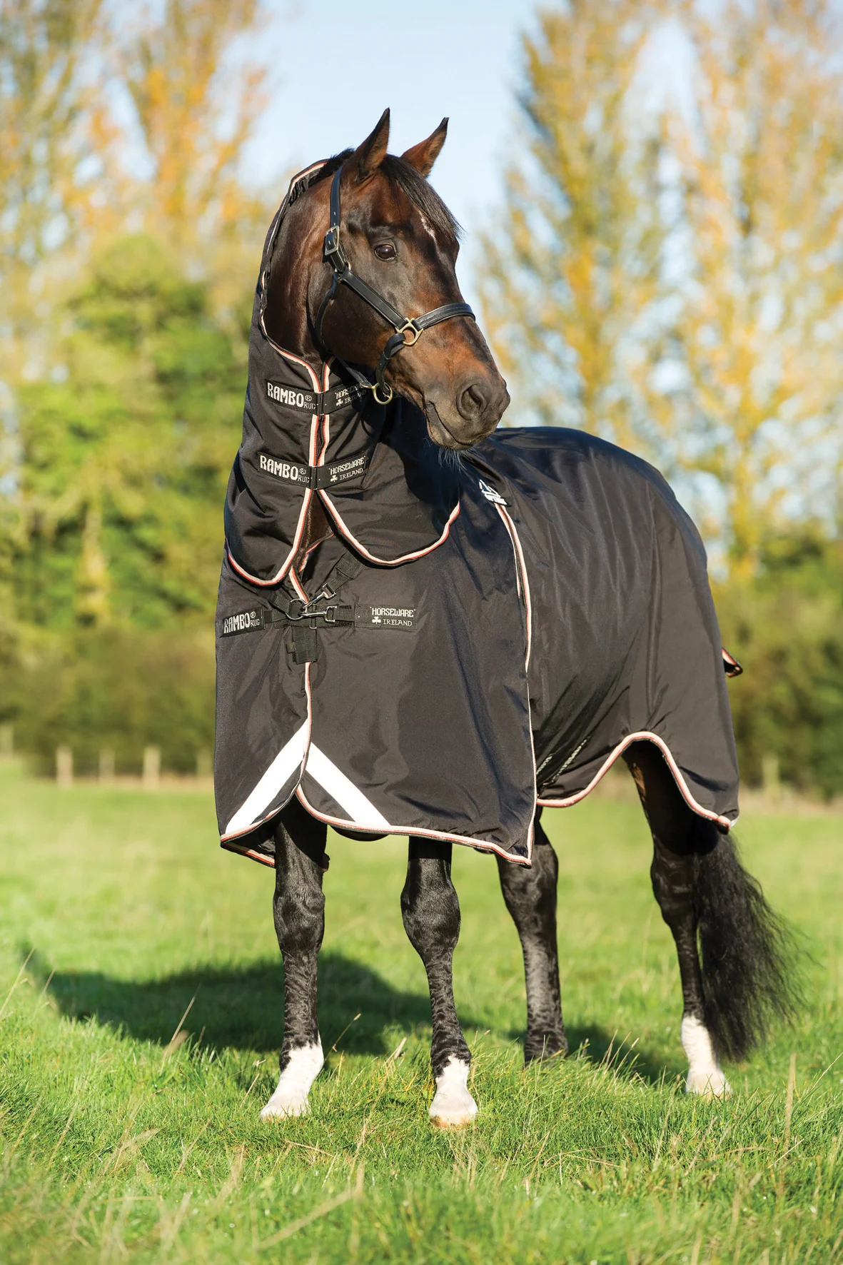 Horseware® Ireland Rambo® Optimo Turnout Blanket - Image 5