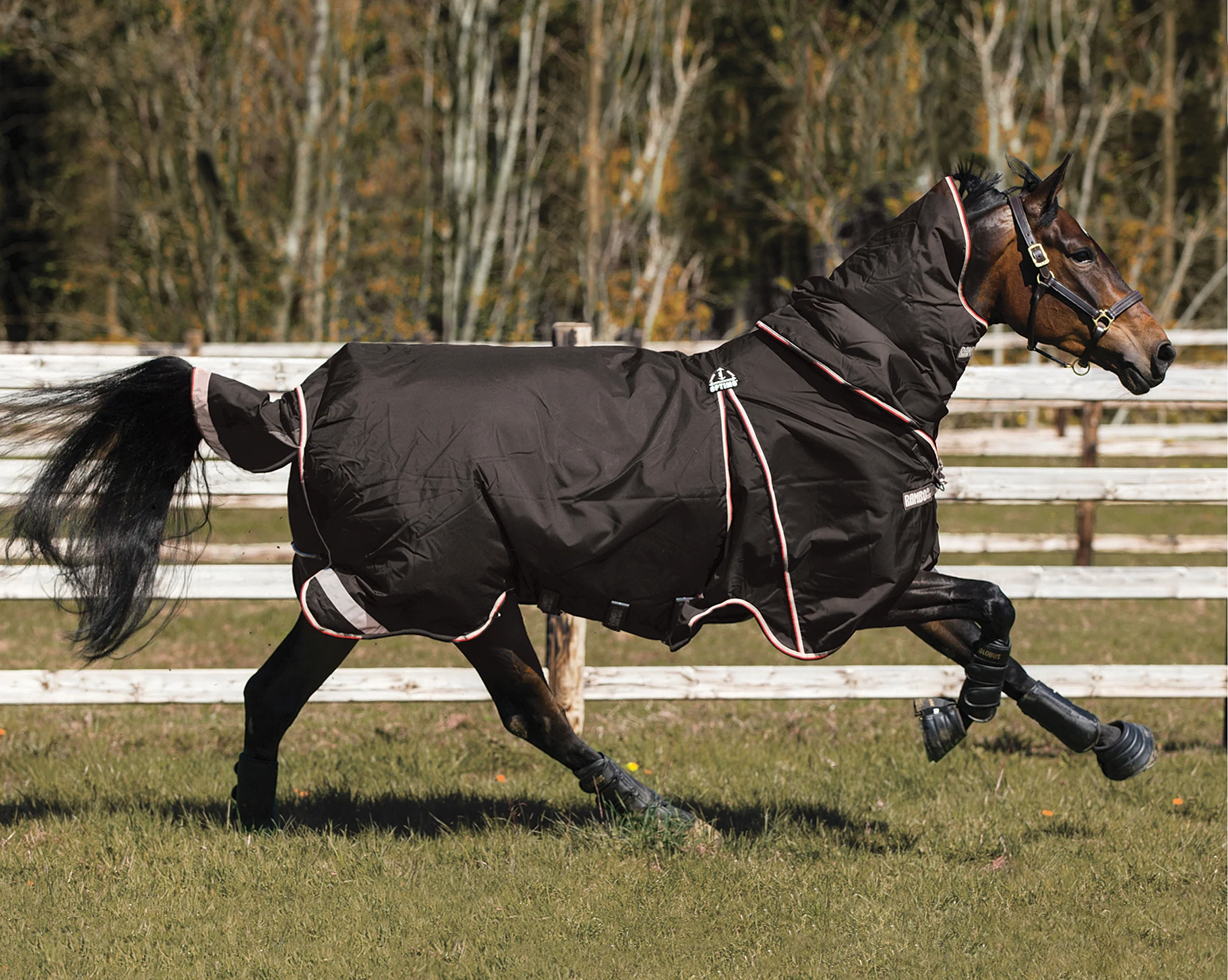 Horseware® Ireland Rambo® Optimo Turnout Blanket - Image 7