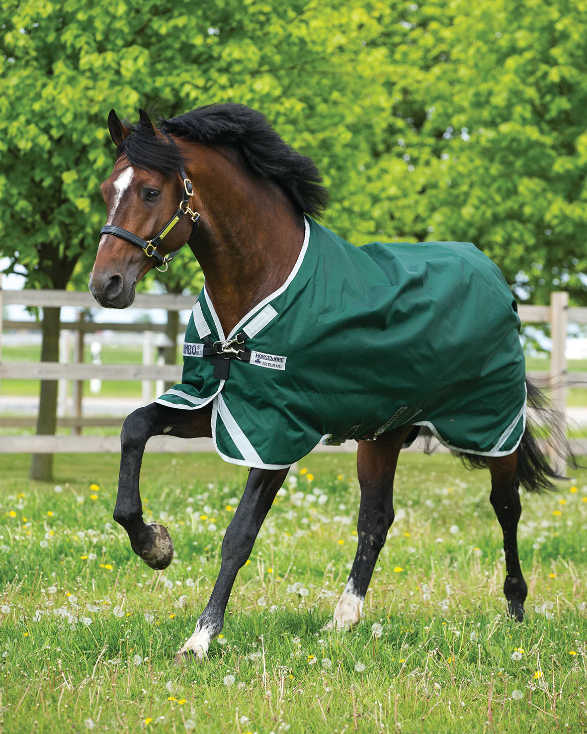 Horseware® Ireland Rambo® Original Lite with Leg Arches™ Turnout Sheet - Image 4