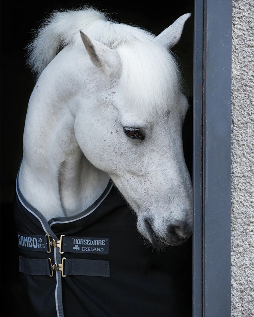 Horseware® Ireland Rambo® Stable Sheet - Image 3