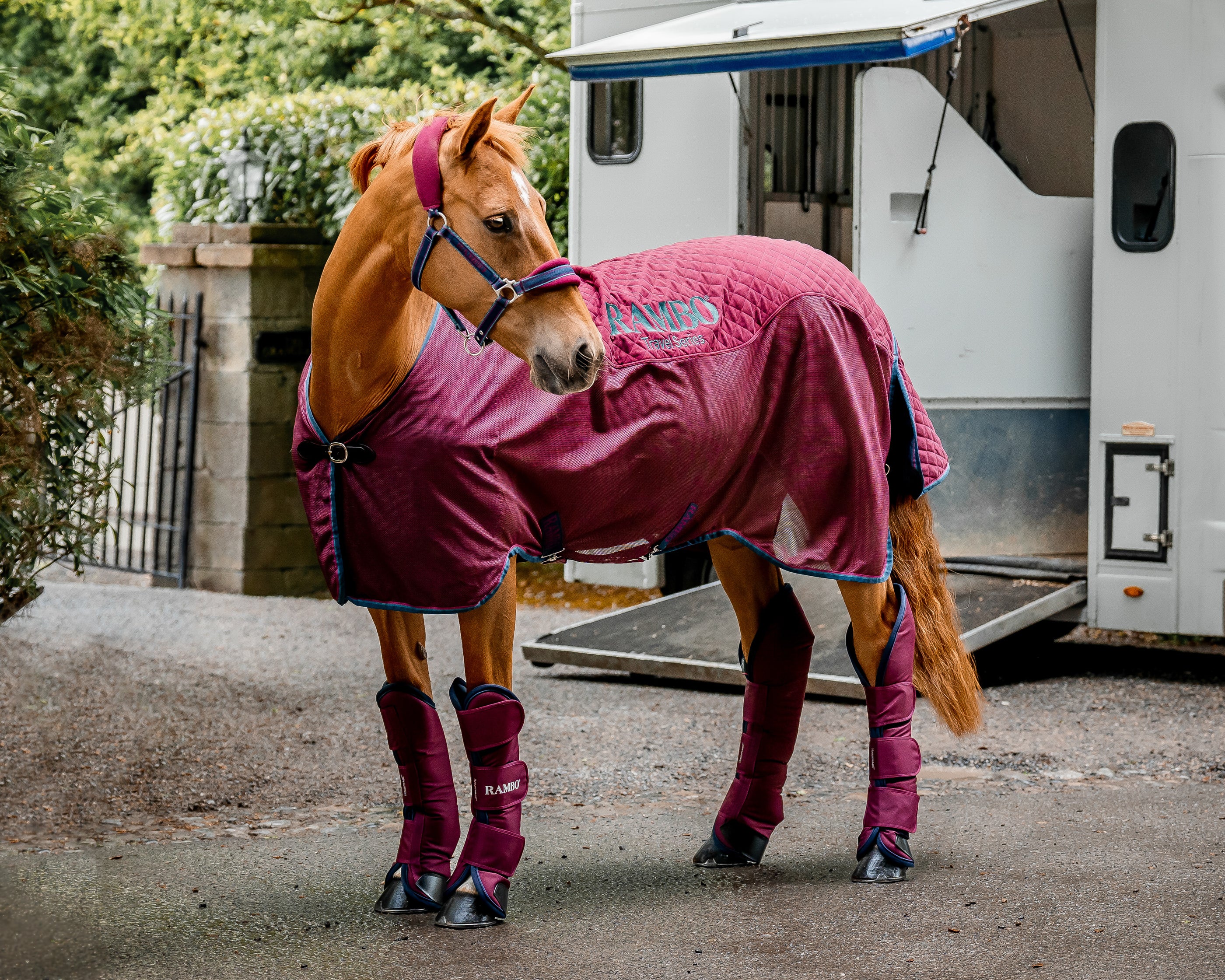 Horseware® Ireland Rambo® Travel Series Sheet - Image 9