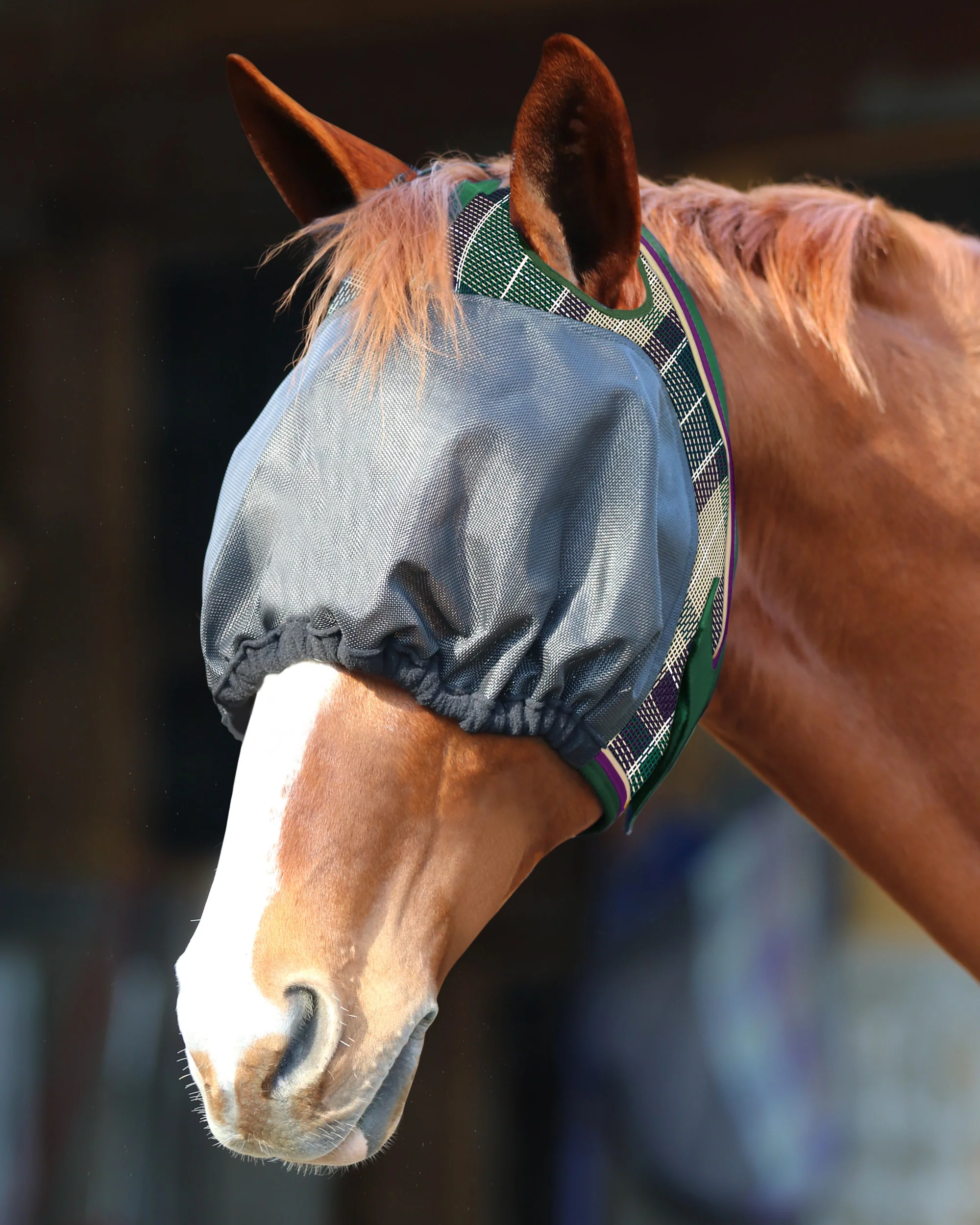 Kensington™ UViator Dartless Fly Mask with Web Trim & Forelock Opening - Image 11