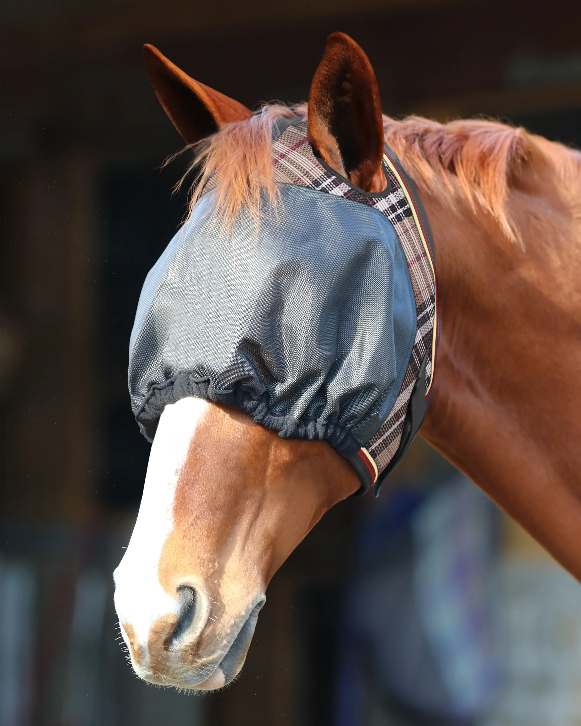 Kensington™ UViator Dartless Fly Mask with Web Trim & Forelock Opening - Image 4