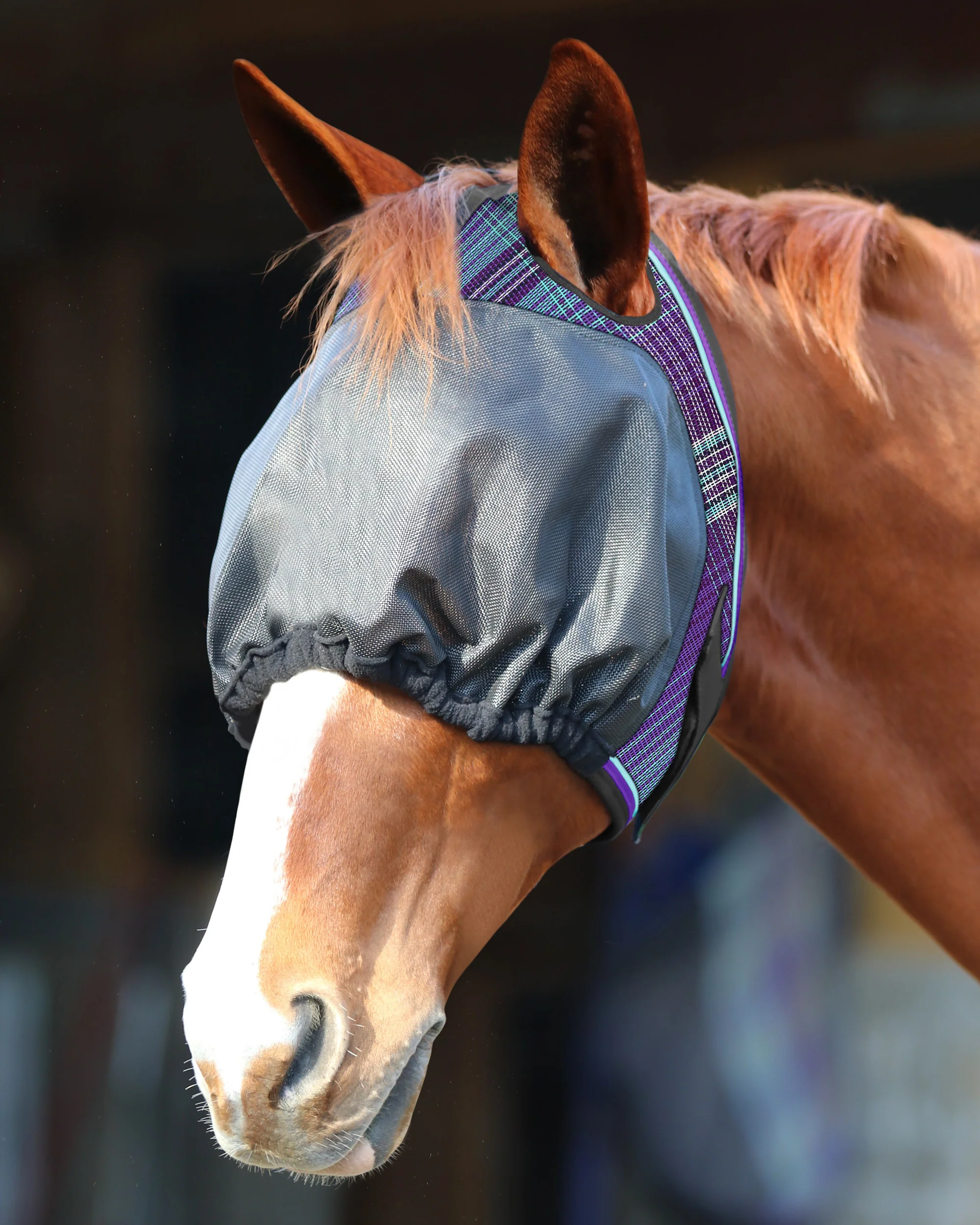 Kensington™ UViator Dartless Fly Mask with Web Trim & Forelock Opening - Image 6