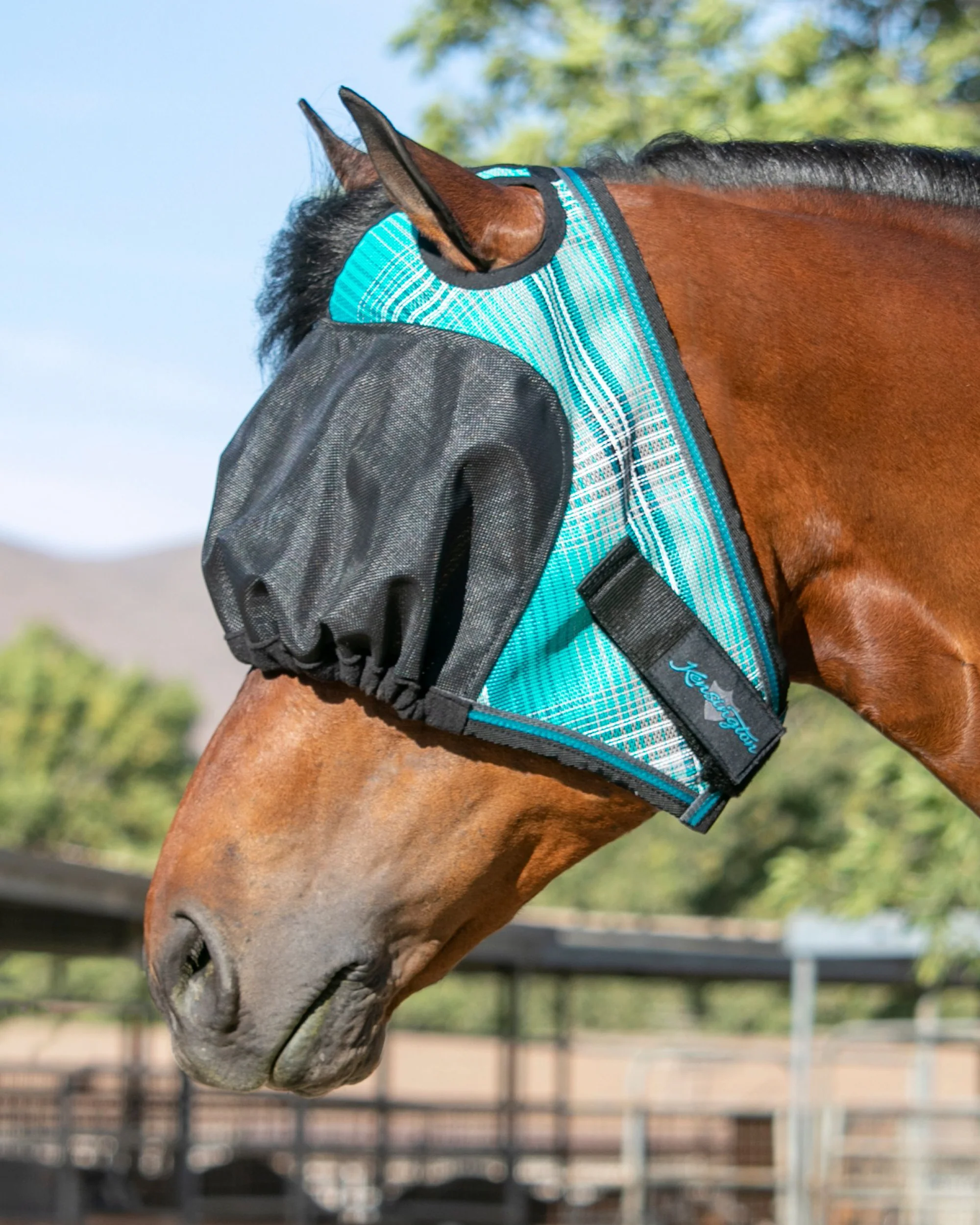 Kensington™ UViator Dartless Fly Mask with Web Trim & Forelock Opening - Image 9