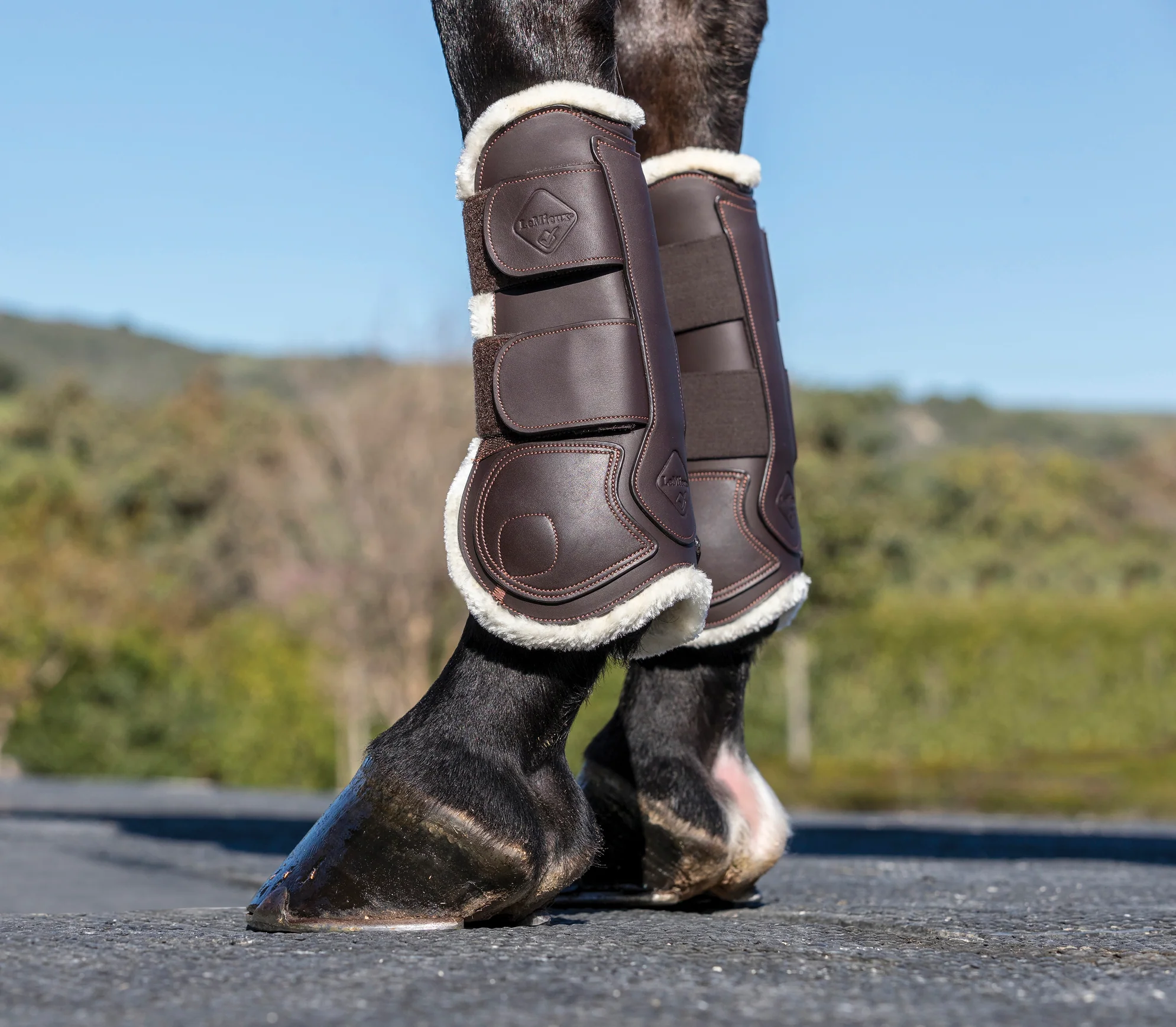LeMieux® Capella Comfort Tendon Boots - Image 3