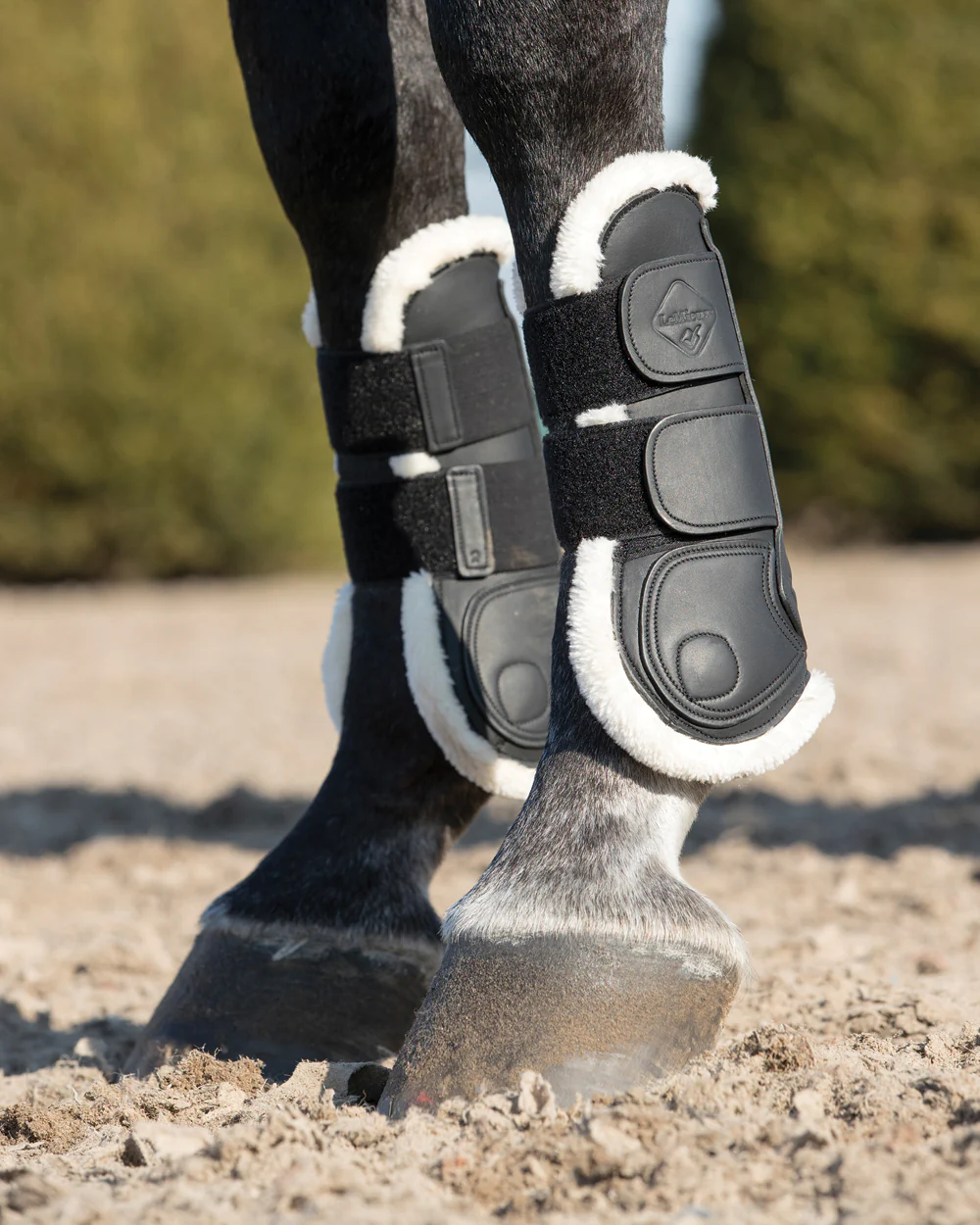 LeMieux® Capella Comfort Tendon Boots - Image 8