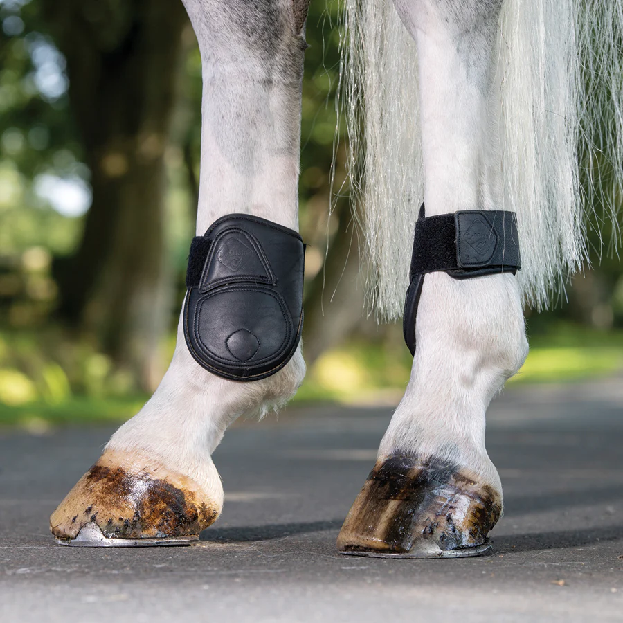 LeMieux® Capella Fetlock Boots - Image 5