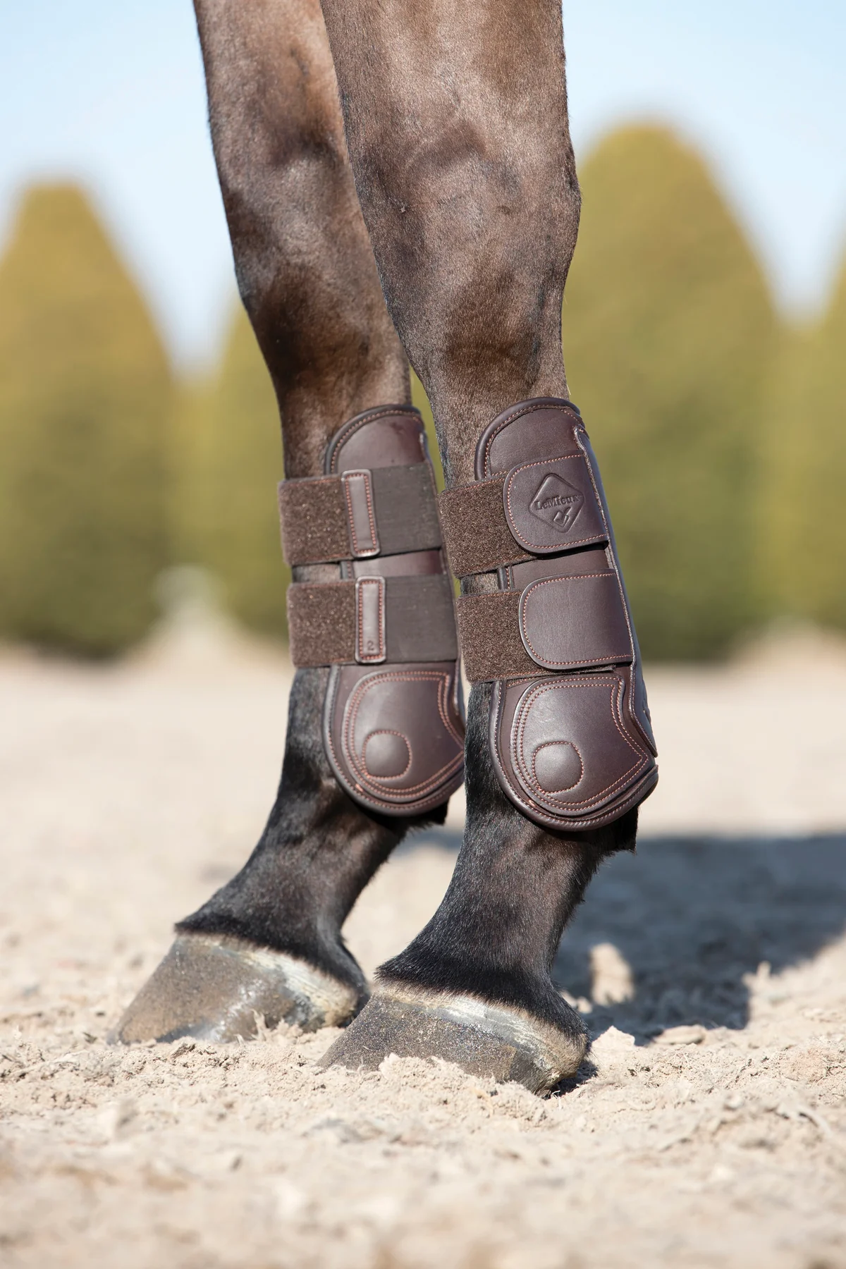LeMieux® Capella Tendon Boots - Image 3