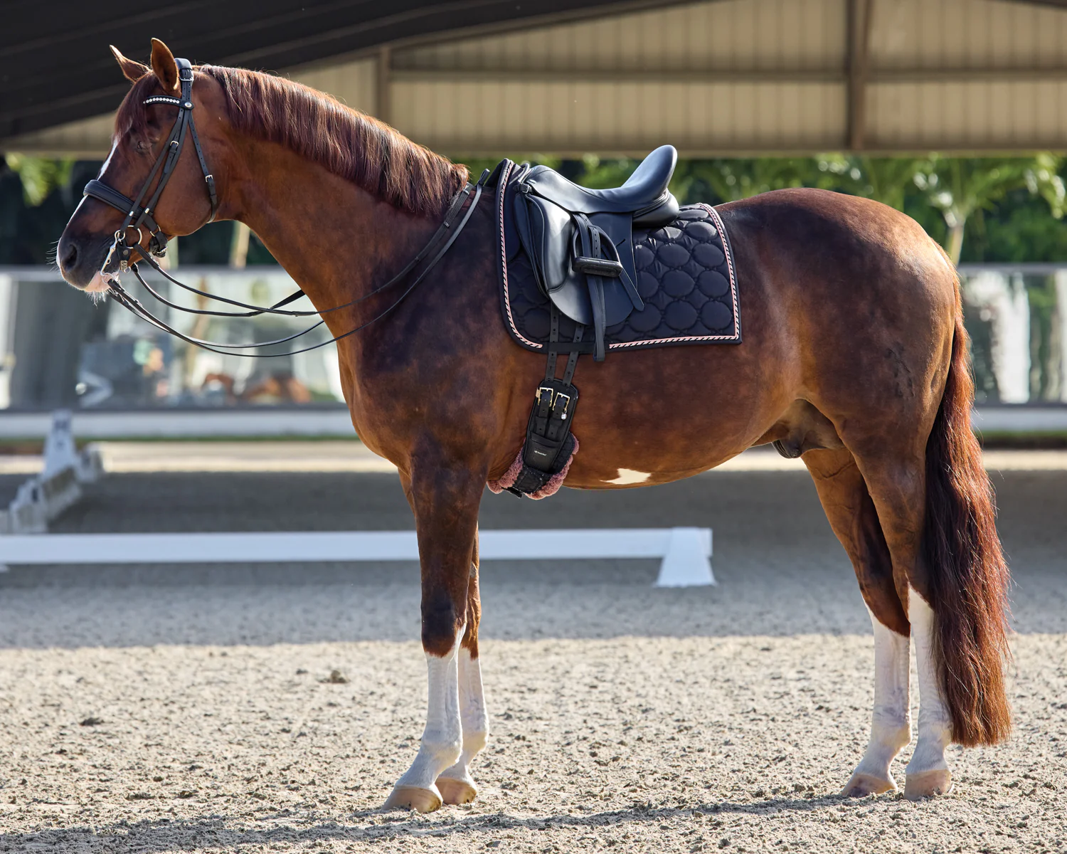 Rider’s International™ Luxury Dressage Pad - Image 3