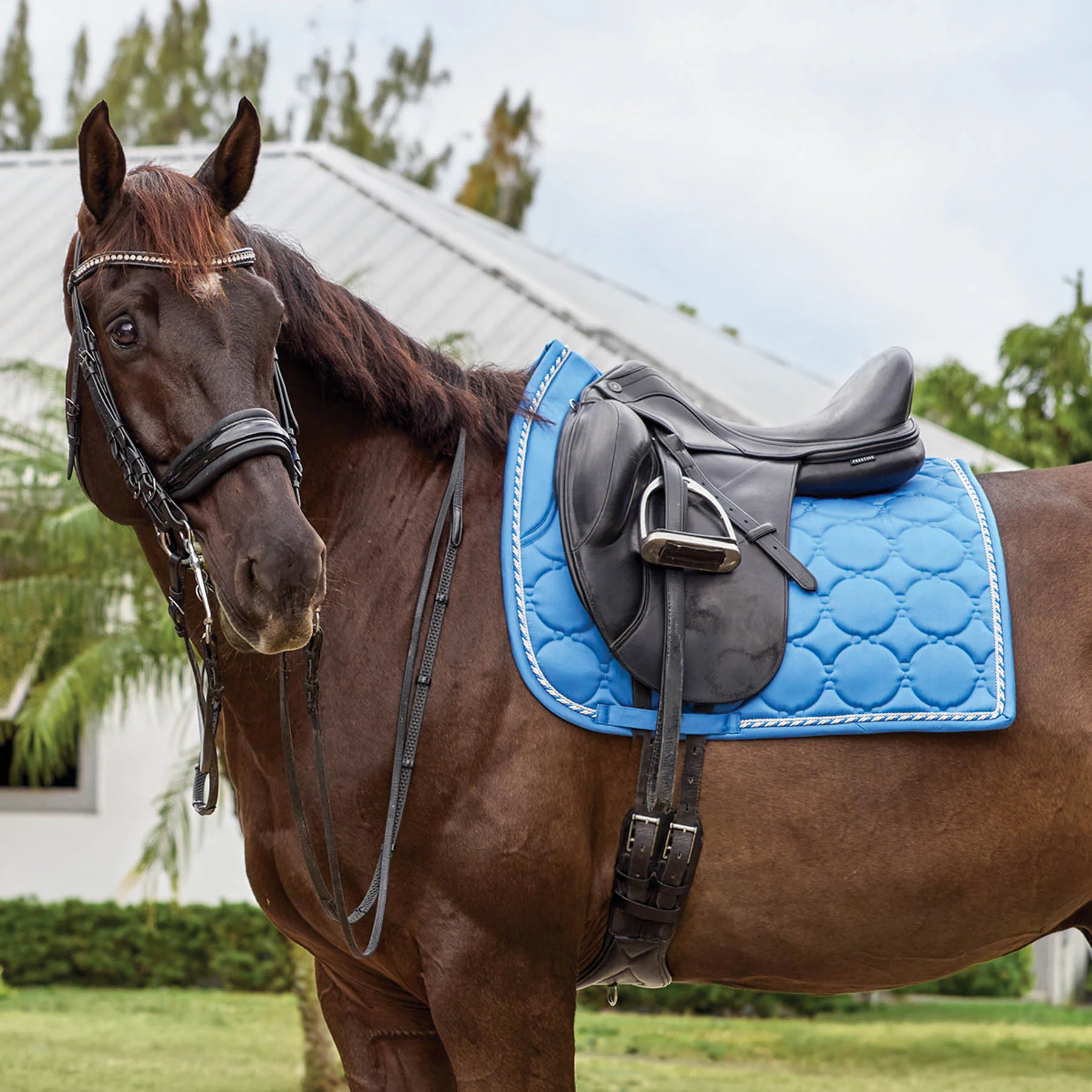 Rider’s International™ Luxury Dressage Pad - Image 8