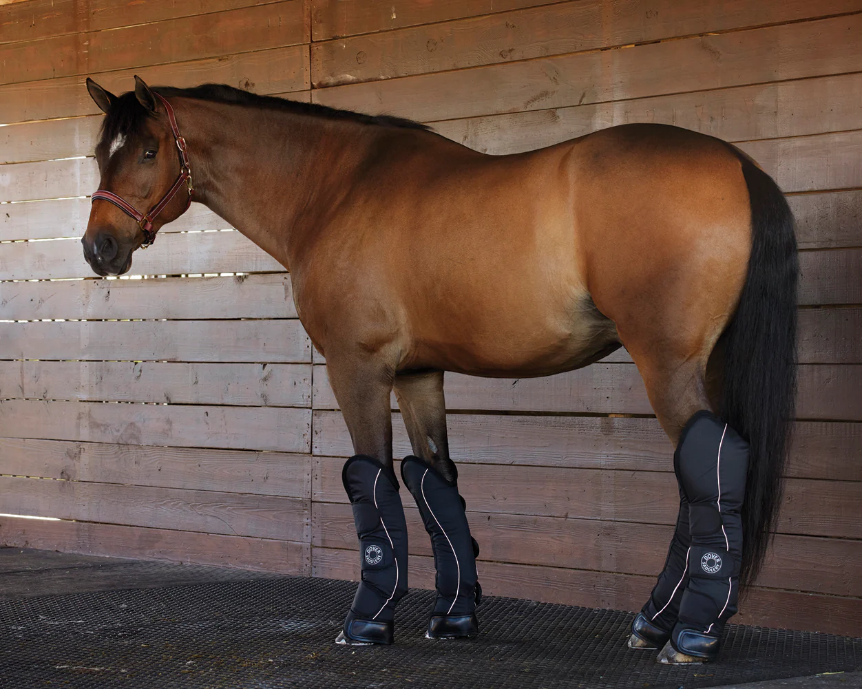 Rider’s International™ Shipping Boot Set - Image 3