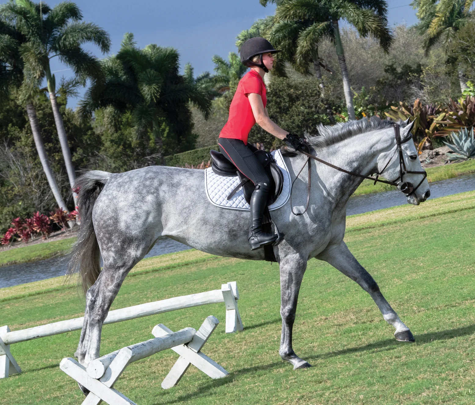 Stride™ Ladies’ Performance Full-Seat Tight - Image 4