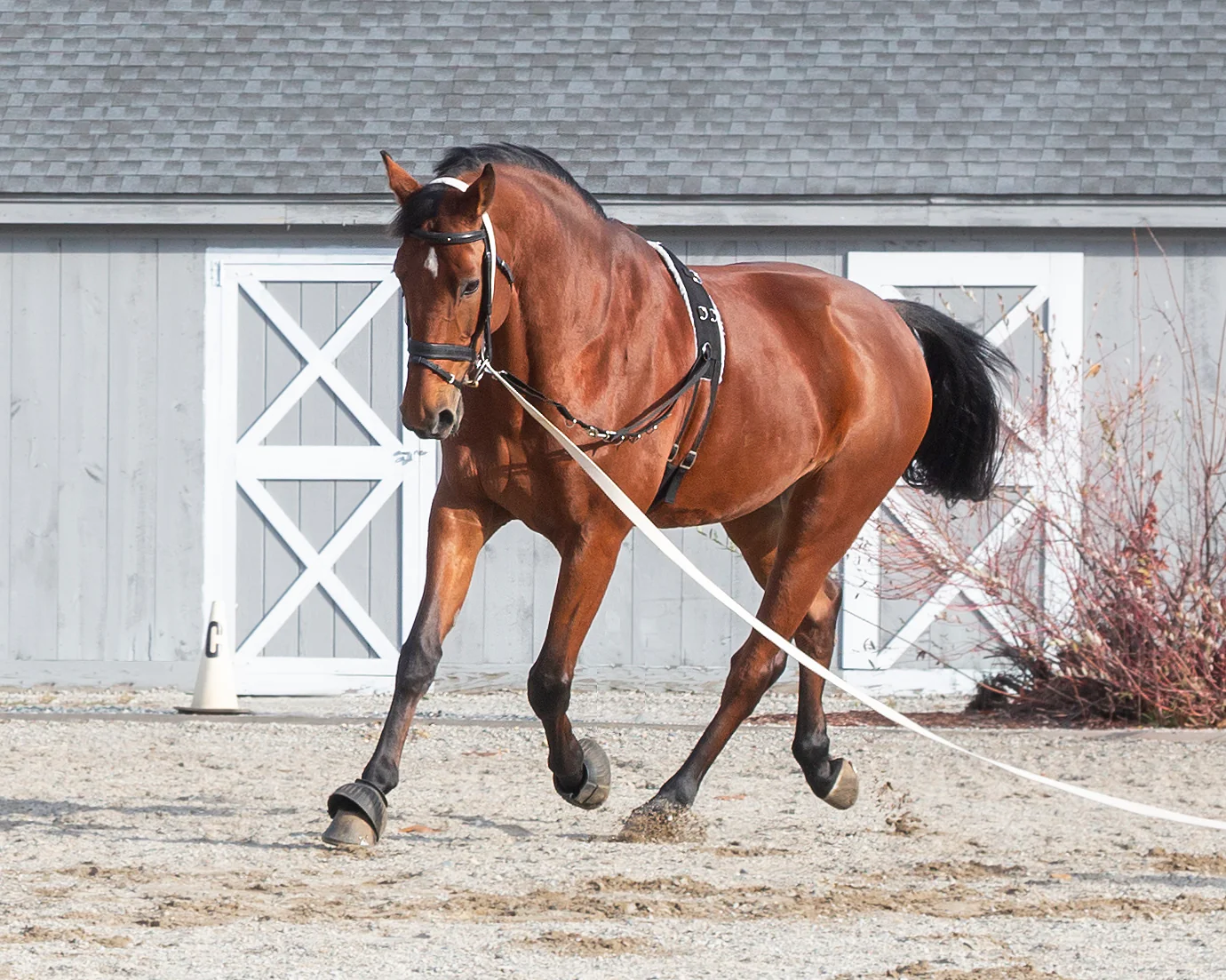 Suffolk™ Side Reins with Elastic - Image 3