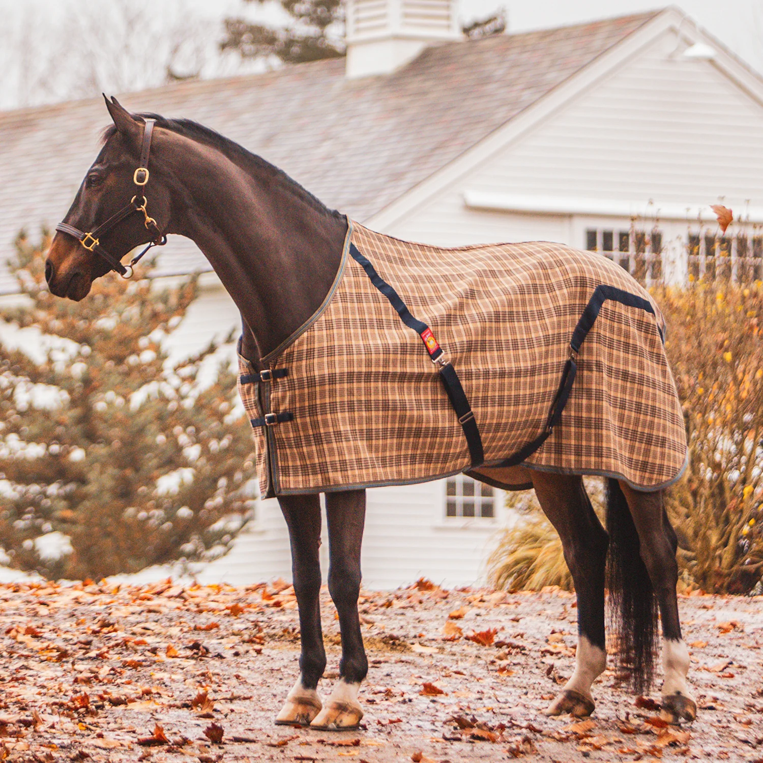 The Original Baker® Stable Blanket - Image 4