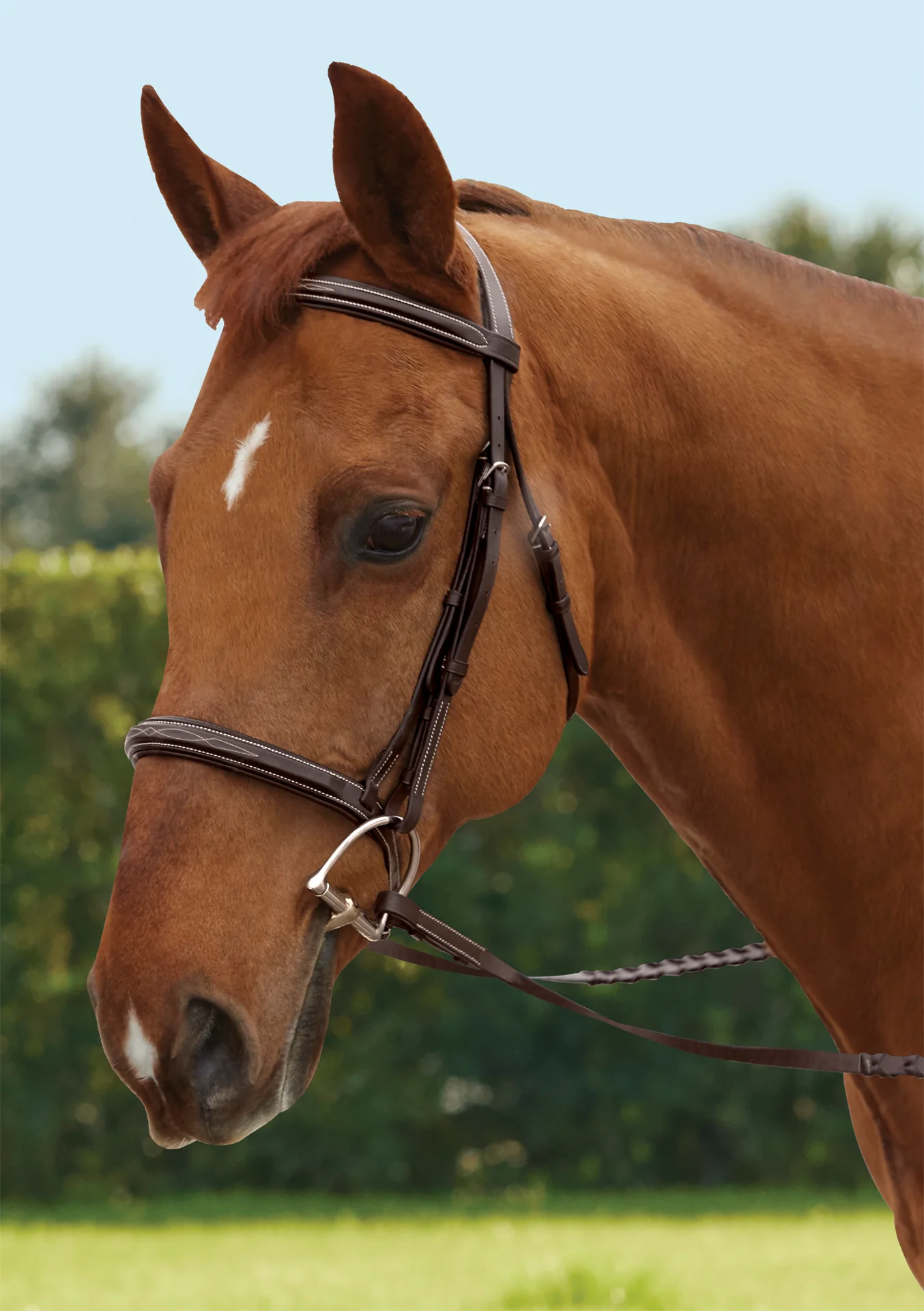 TRU-Fit™ Build-A-Bridle™ Fancy-Stitched Hunter Noseband - Image 4