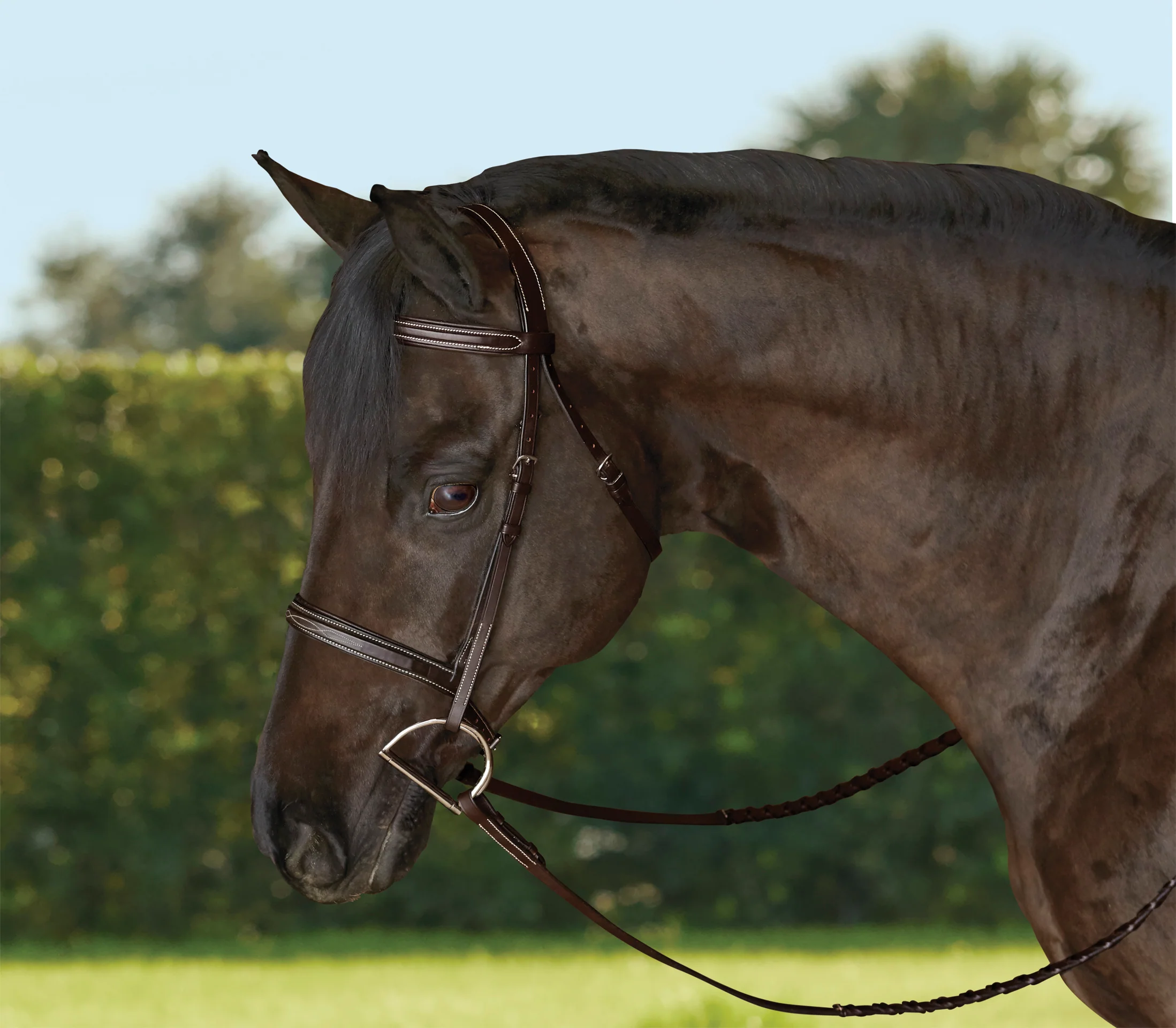 TRU-Fit™ Build-A-Bridle™ Fancy-Stitched Hunter Noseband - Image 5