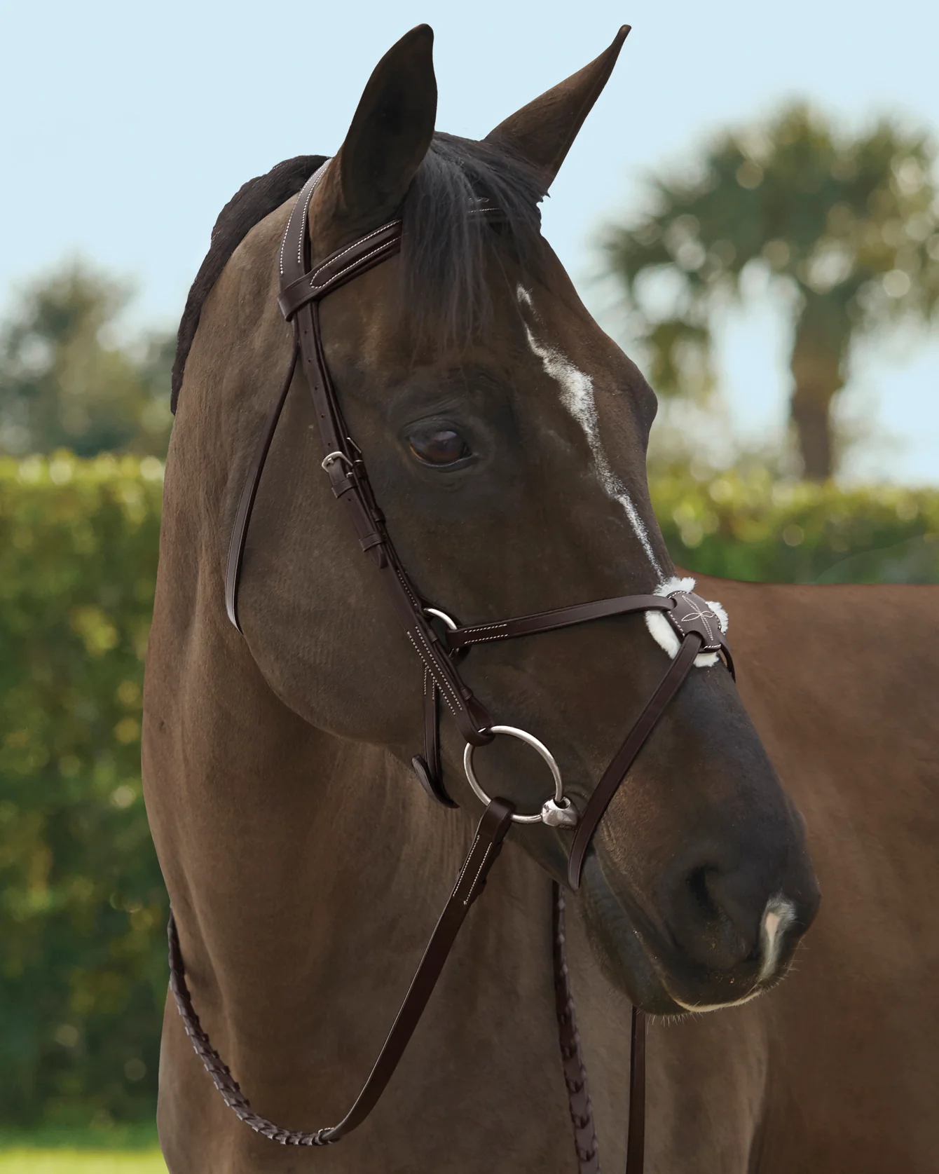 TRU-Fit™ Build-A-Bridle™ Figure-8 Noseband - Image 3