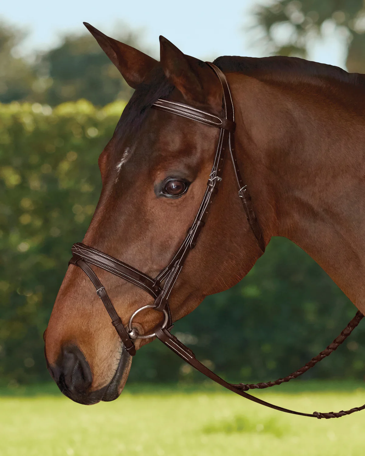 TRU-Fit™ Build-A-Bridle™ Flash Noseband - Image 3