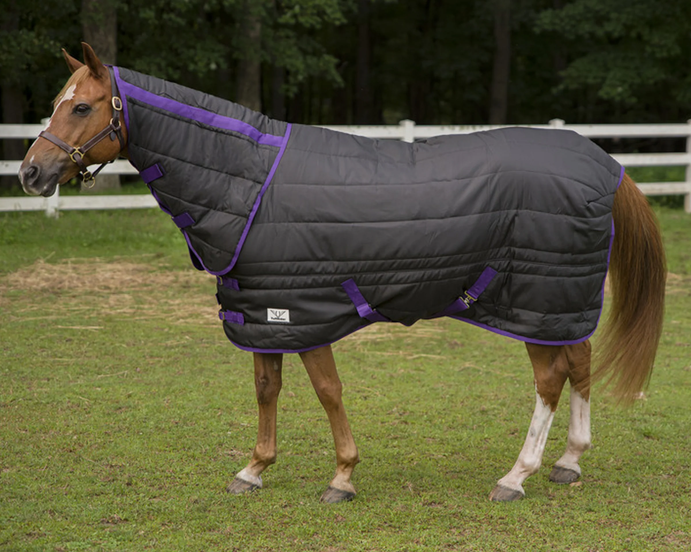 TuffRider® Kozy Komfort Combo Stable Blanket - Image 3
